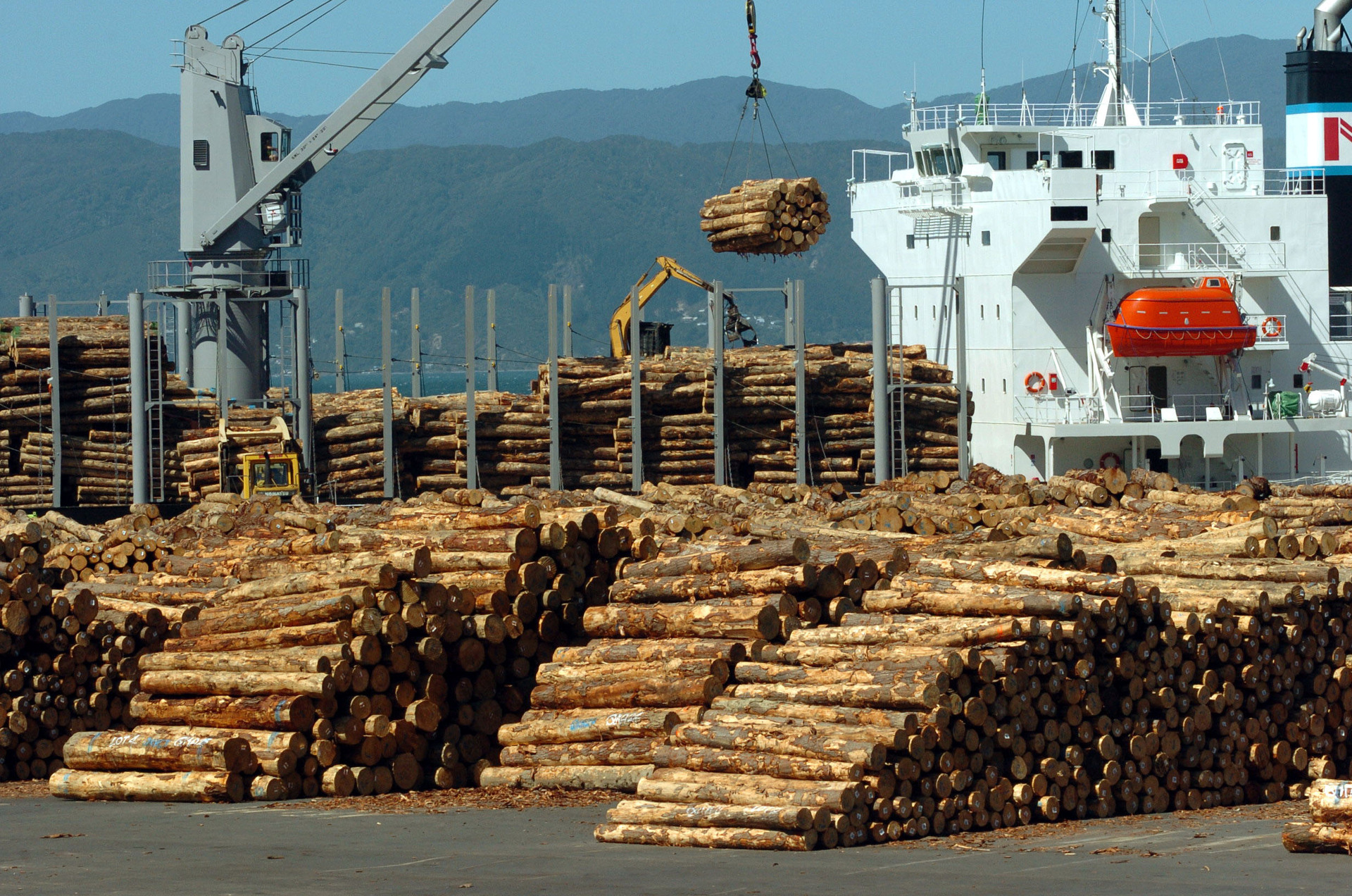 Chinese economic fortunes influence demand for forestry exports. Photo / NZ Herald