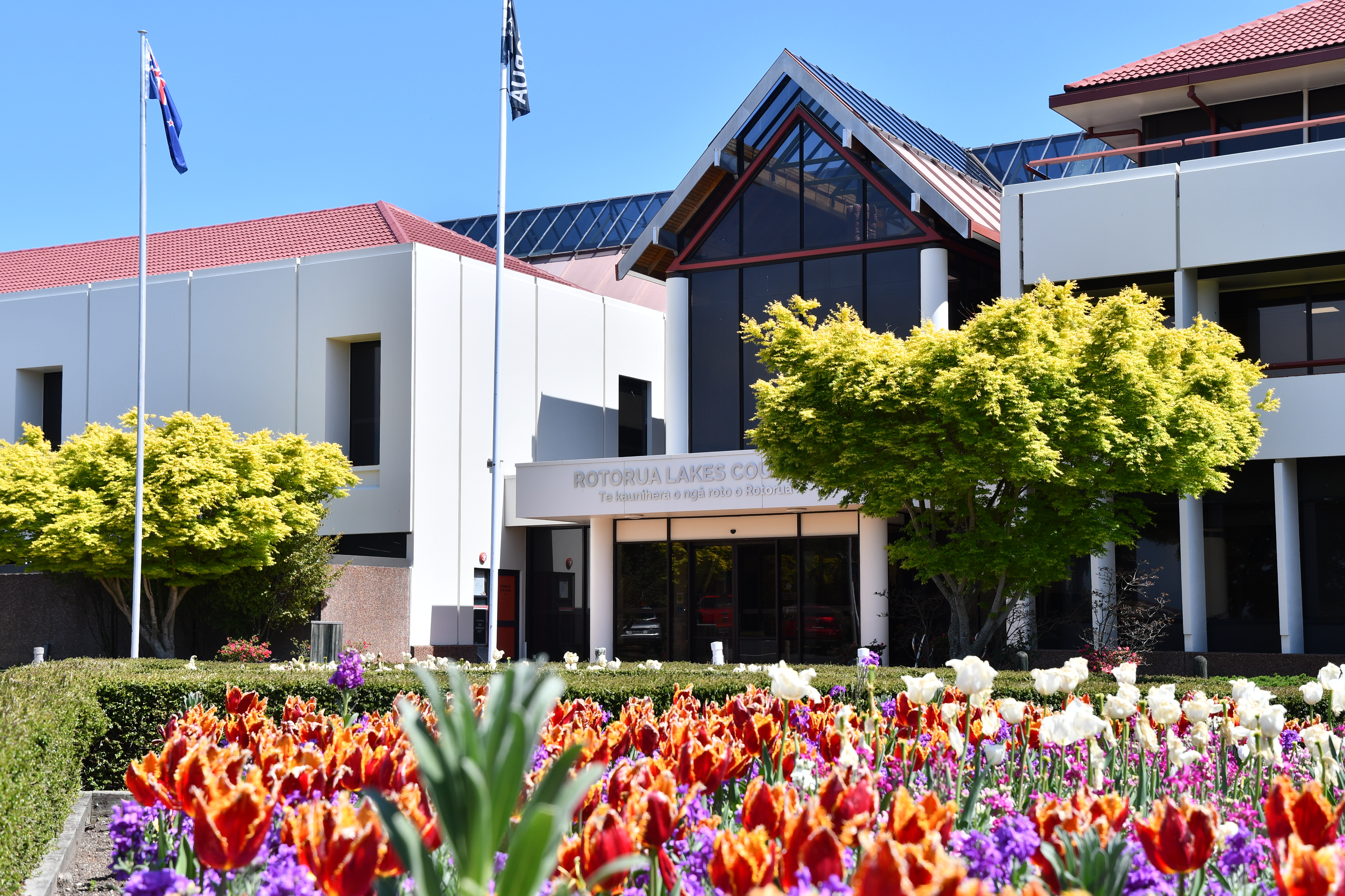 Rotorua Lakes Council approves its draft long-term plan for consultation. Photo / Laura Smith