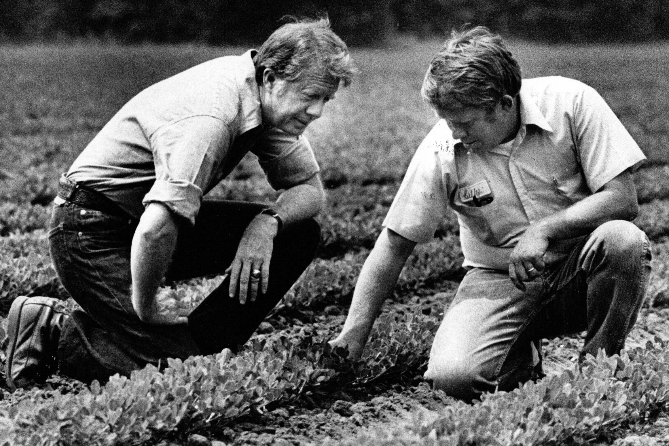 Jimmy Carter with his brother, Billy, in a peanut field in Plains, Georgia, in 1976. Photo / Frank Johnston, the Washington Post