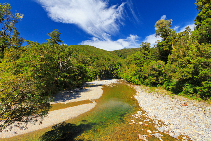 Pakuratahi River and cheap camping exists in Kaitoke Forest. Photo / Getty Images