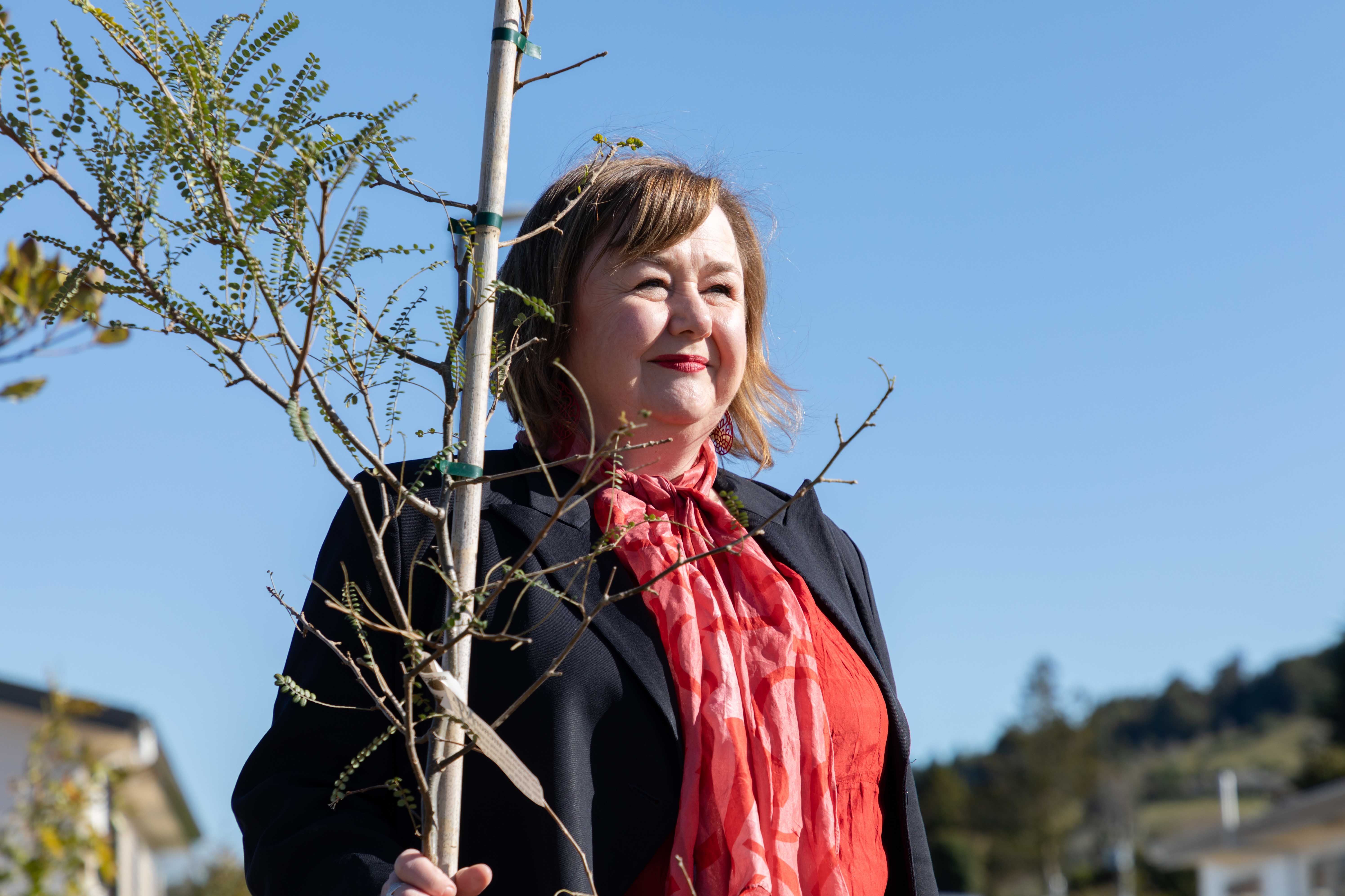 Housing Minister Dr Megan Woods. Photo / Alex Cairns