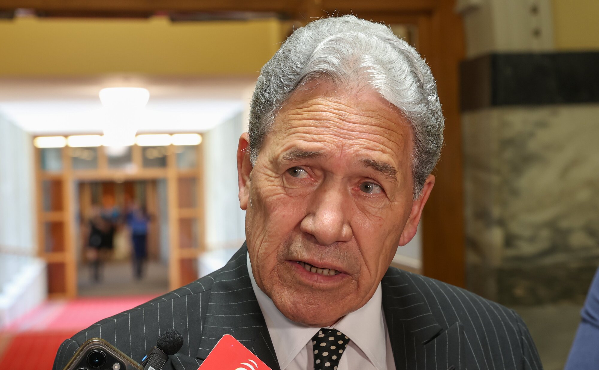 NZ First leader Winston Peters has been a vocal critic of the Government's free trade deal with India. Photo / Mark Mitchell 