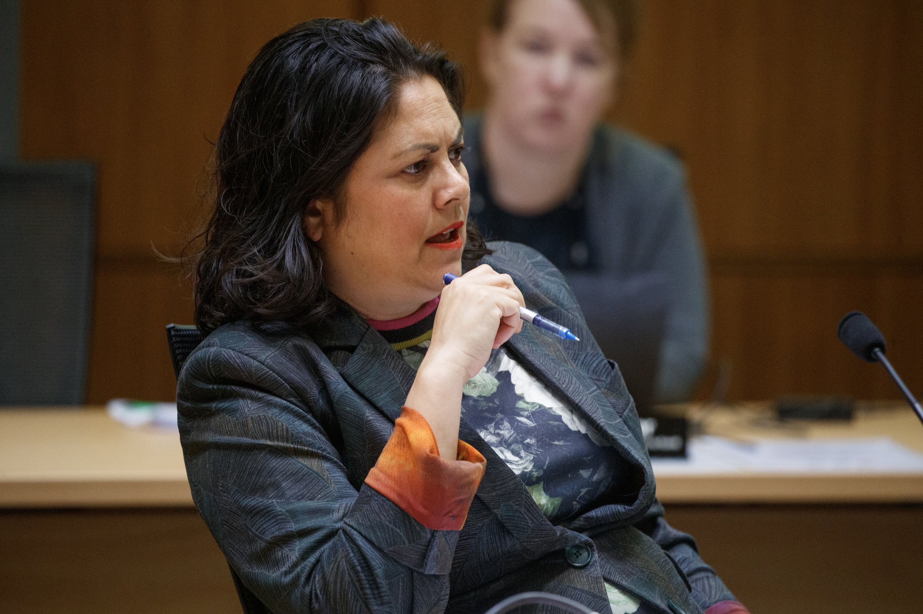 Labour health spokeswoman Aysha Verrall during the health select committee hearing at Parliament. Photo / Mark Mitchell