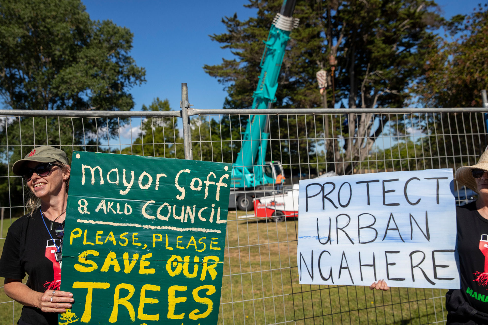 Protesters have called Auckland Council hypocritical for criticising removal of trees on private land, then in this case consenting a protected tree to be removed on public land. Photo / Michael Craig