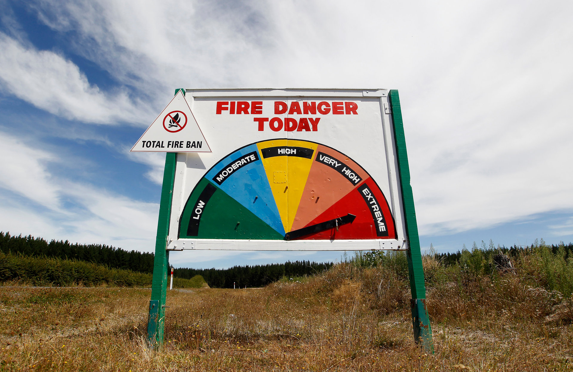 In a just-launched study, scientists are investigating whether an intriguing feedback loop being observed elsewhere in the world because of climate change may also be quietly unfolding here. Photo / Christine Cornege