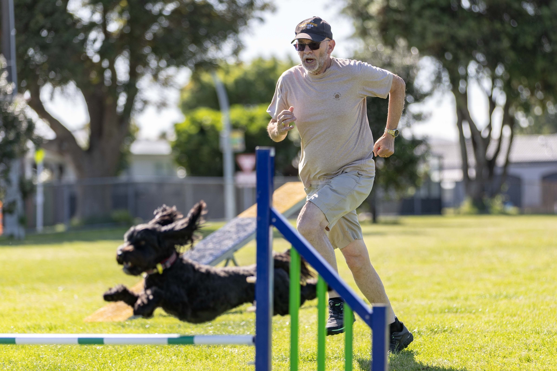 Mount Maunganui Dog Training Club angry with Tauranga City