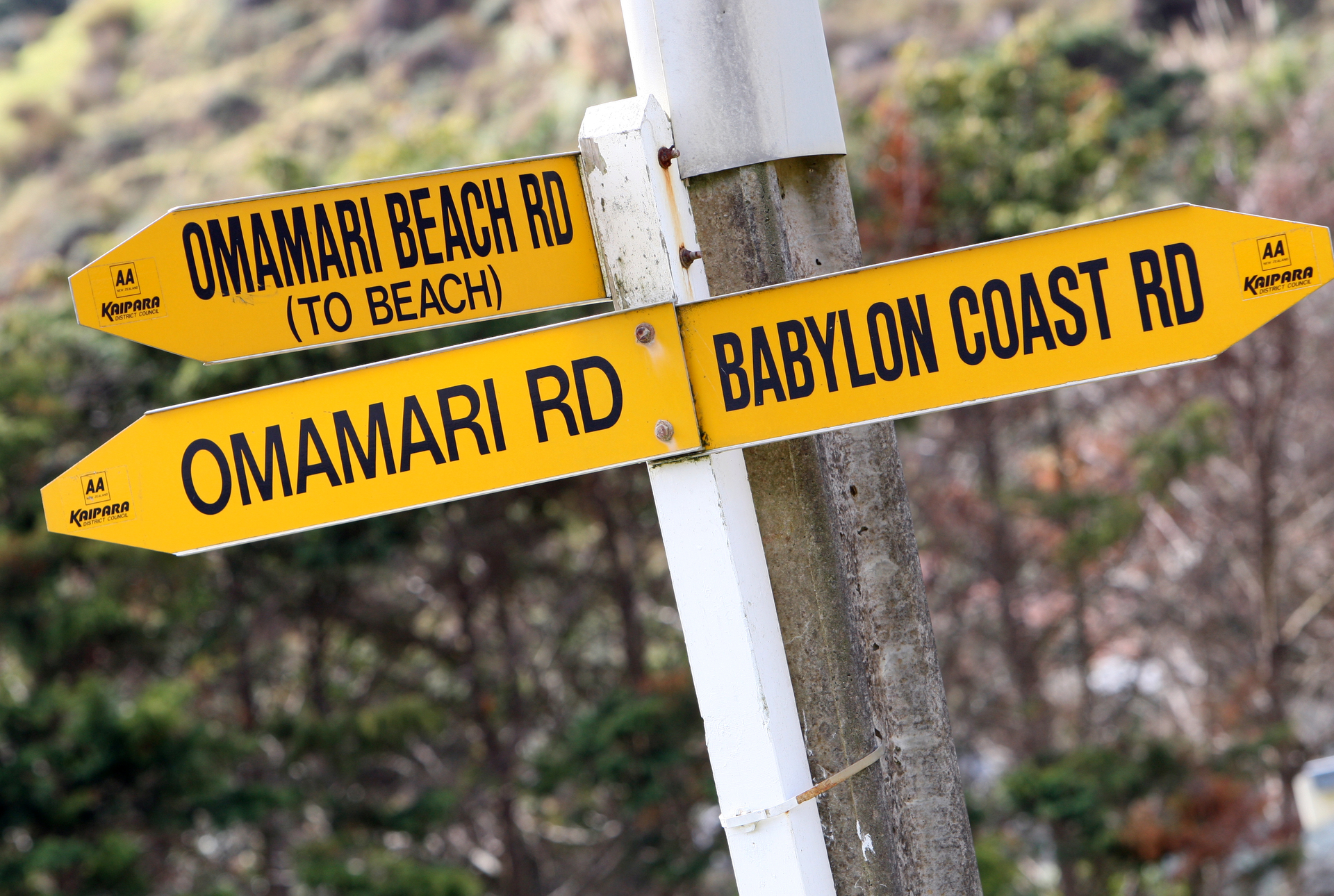 A man's body was found at Omamari Beach, 30km northwest of Dargaville, on Sunday. Photo / NZME