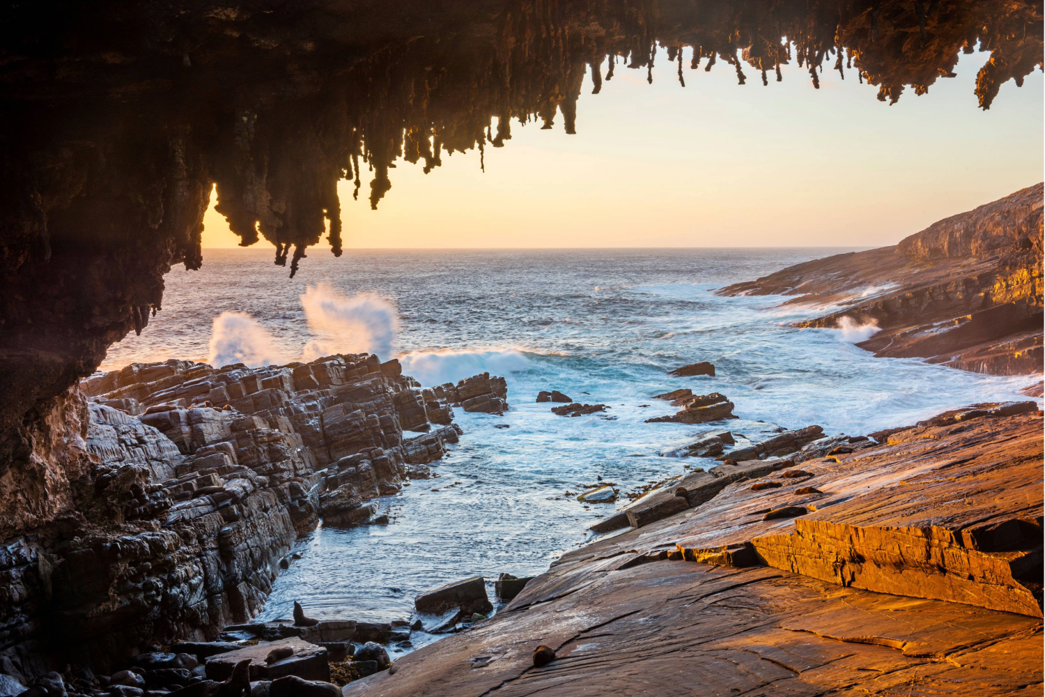 Visit Admiral's Arch as part of a tour with Exceptional Kangaroo Island.
