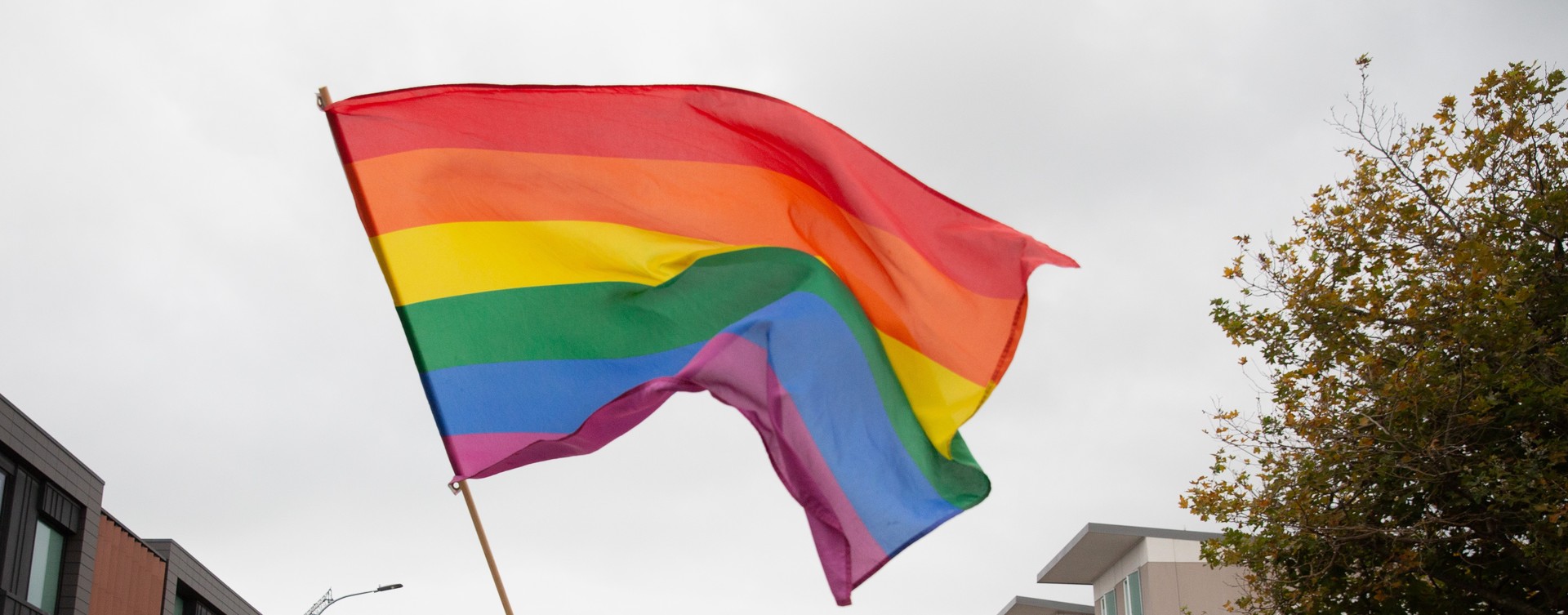 Auckland's Pride Festival may have been closed by Covid but the LGBTQI+ community are still celebrating. Photo / Sylvie Whinray