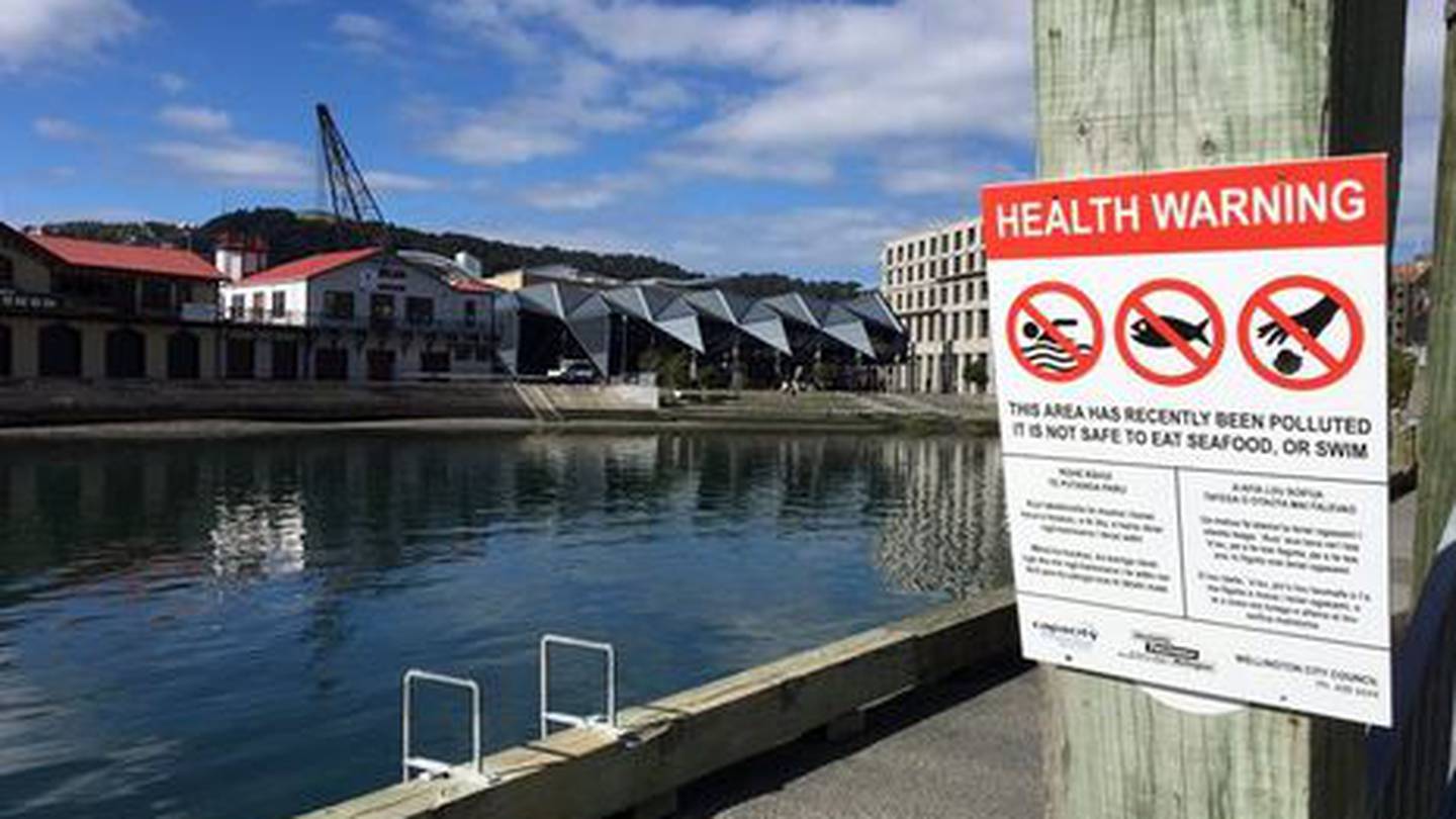 Just days before Christmas, 6.5 million litres of wastewater spewed into Wellington's harbour after a critical tunnel collapsed under the CBD. Photo / Georgia Nelson 