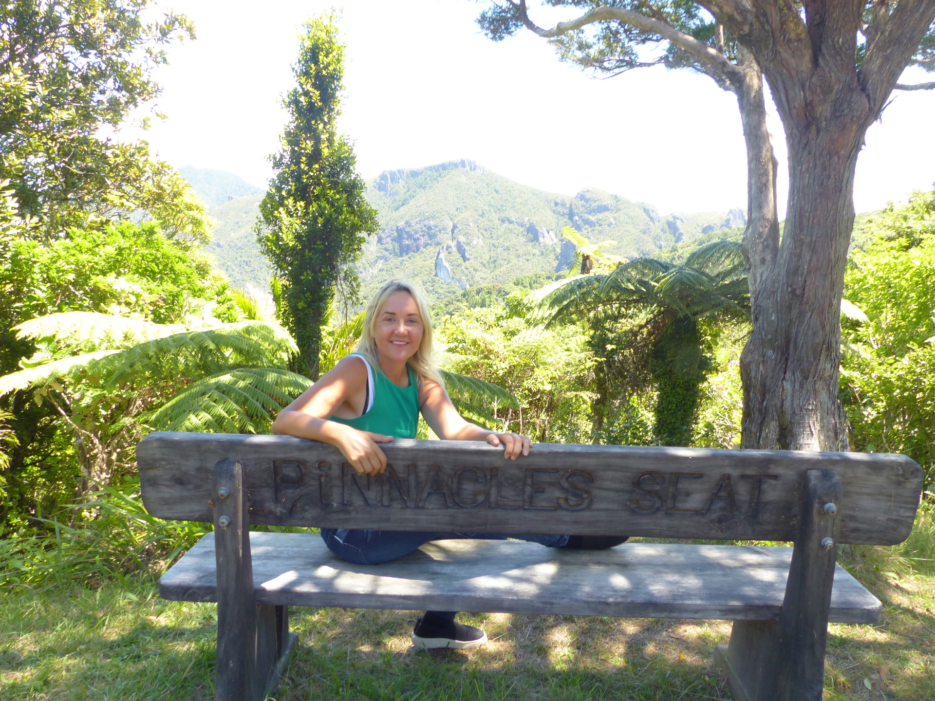 Nikki Kaye in part of the Aotea Conservation Park. Photo / Audrey Young