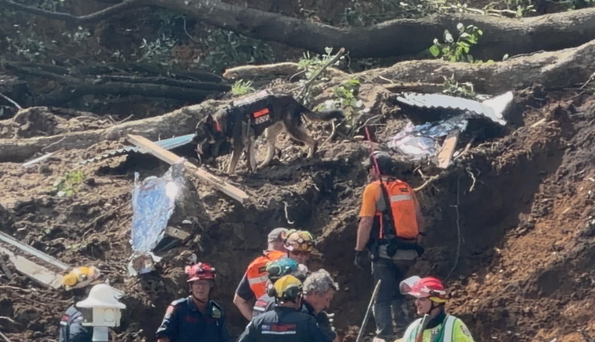 Dog teams are moving in as rescue efforts continue at the Mount Maunganui campground following the landslide.