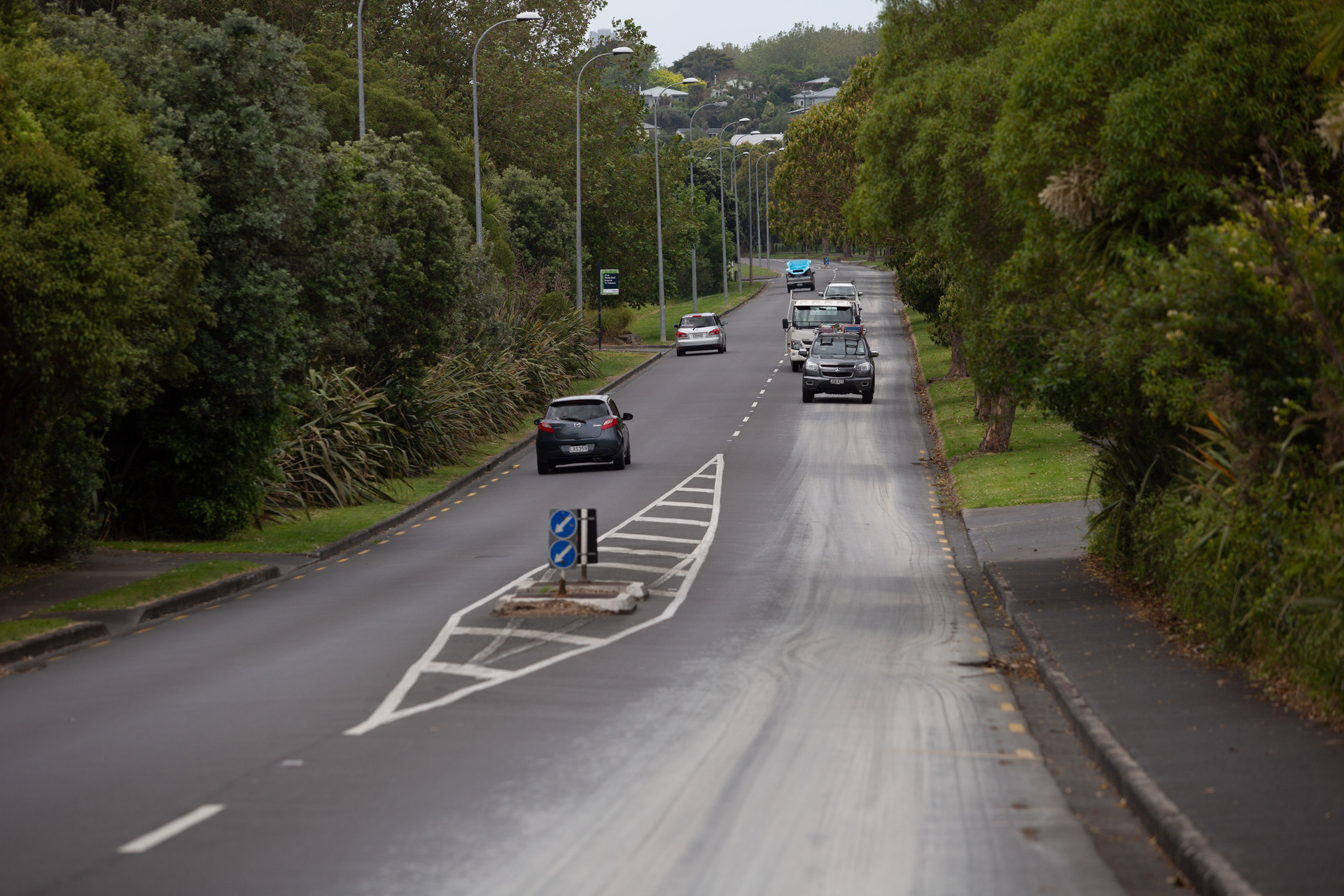 Meola Rd is narrow, dangerous and arterial: it's a no-brainer for a cycleway. Photo / Sylvie Whinray