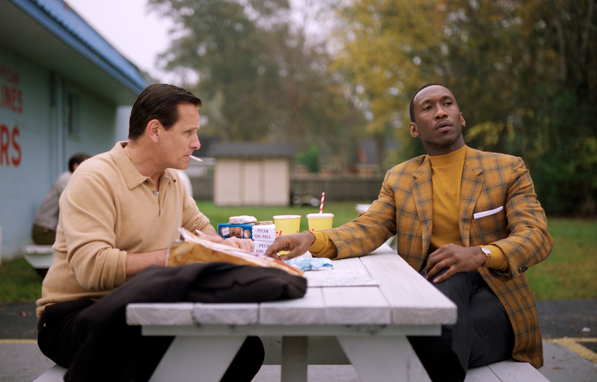Viggo Mortensen and Mahershala Ali in a scene from Green Book, which took out Best Picture at last night's Oscars. Photo / supplied