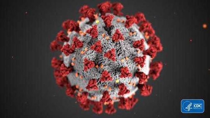 Coronavirus actually reached our shores earlier than believed. Photo / Supplied