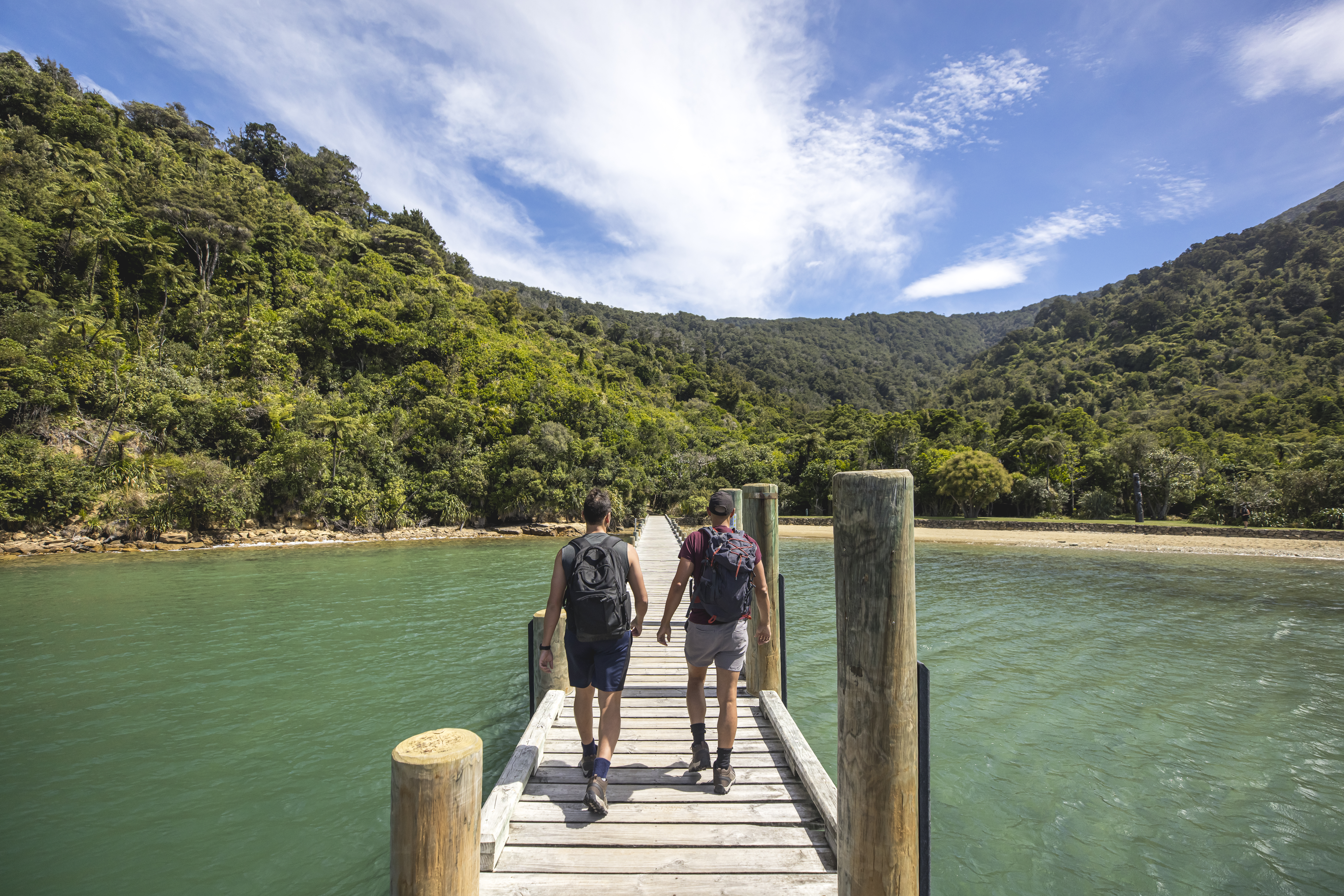 This section of the Queen Charlotte Track offers tranquil lakeside walking, with campsites and lodges nearby for multi-day adventurers. Photo / Miles Holden
