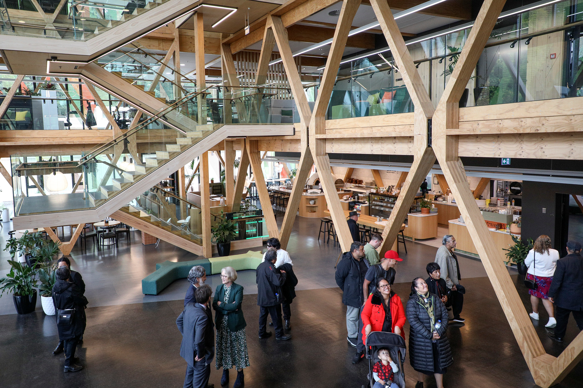 Rotorua's Scion building, largely made out of timber, was opened in March this year. Photo / NZME  
