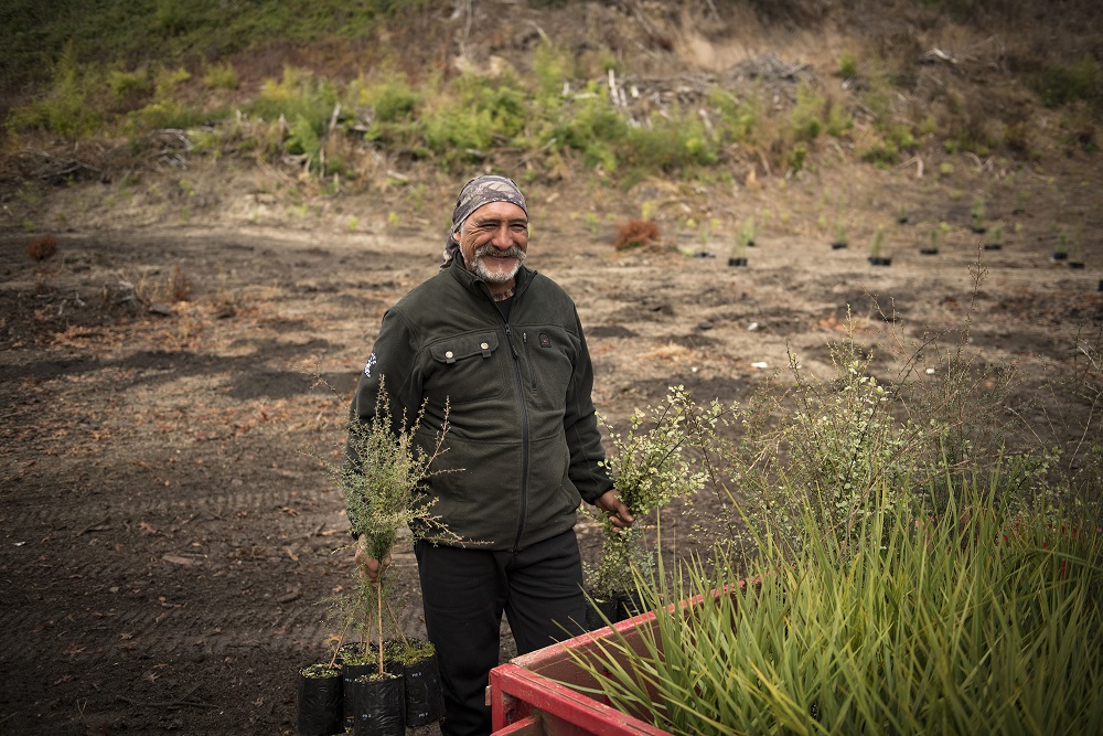 Give the gift of planting a native tree with Trees That Count.