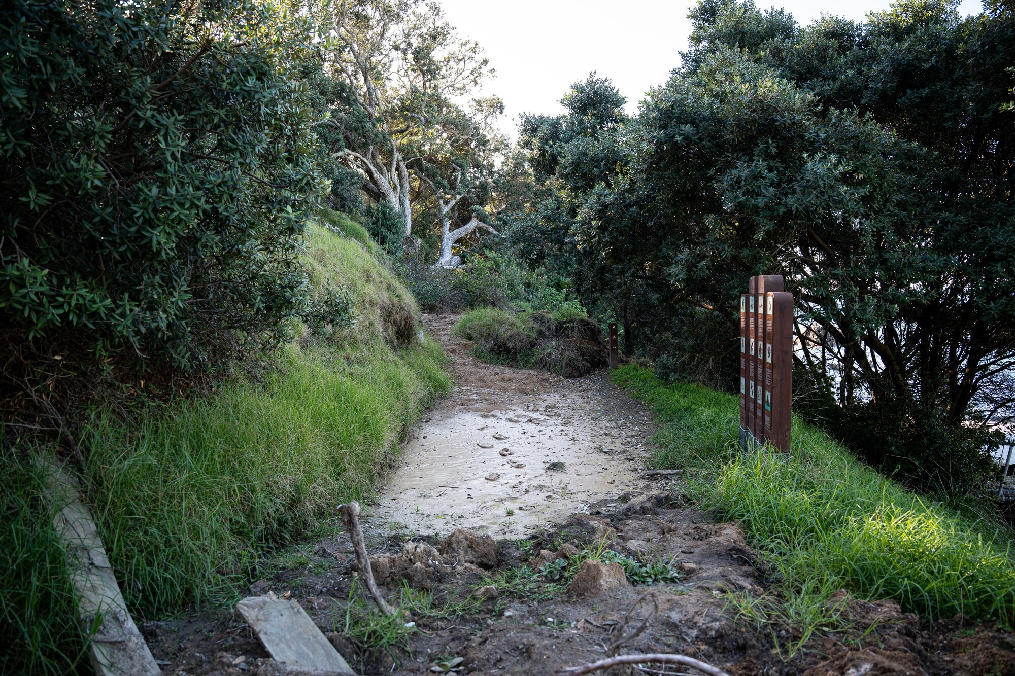 Destruction on the inaccessible Mauao base track. Photo / Alyse Wright