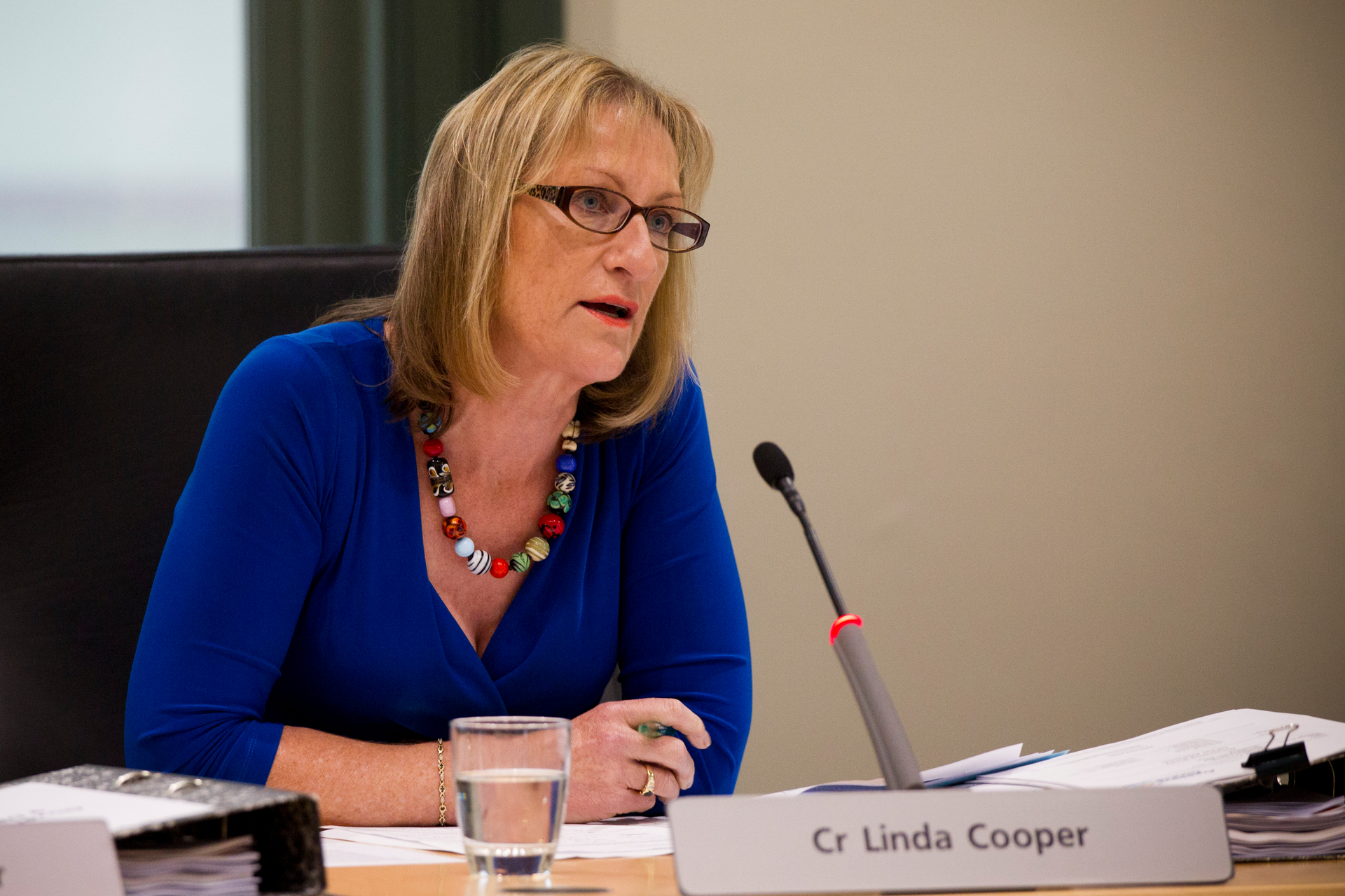 Waitākere councillor Linda Cooper. Photo / Jason Oxenham
