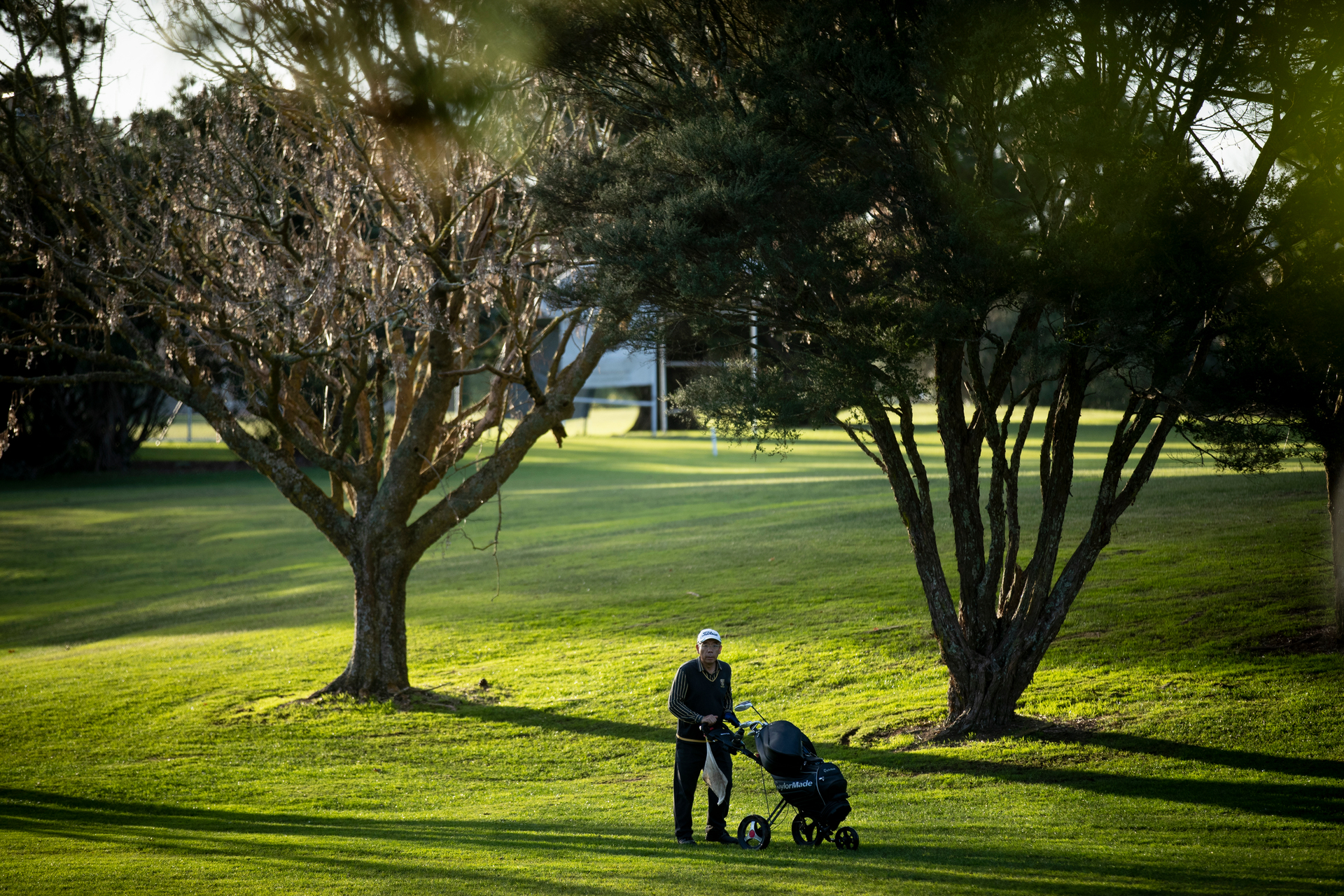 Public land used for golf courses, such as Chamberlain Park in Mt Albert, is not included in Auckland Council's list of options for increasing budget revenue. Photo / Dean Purcell