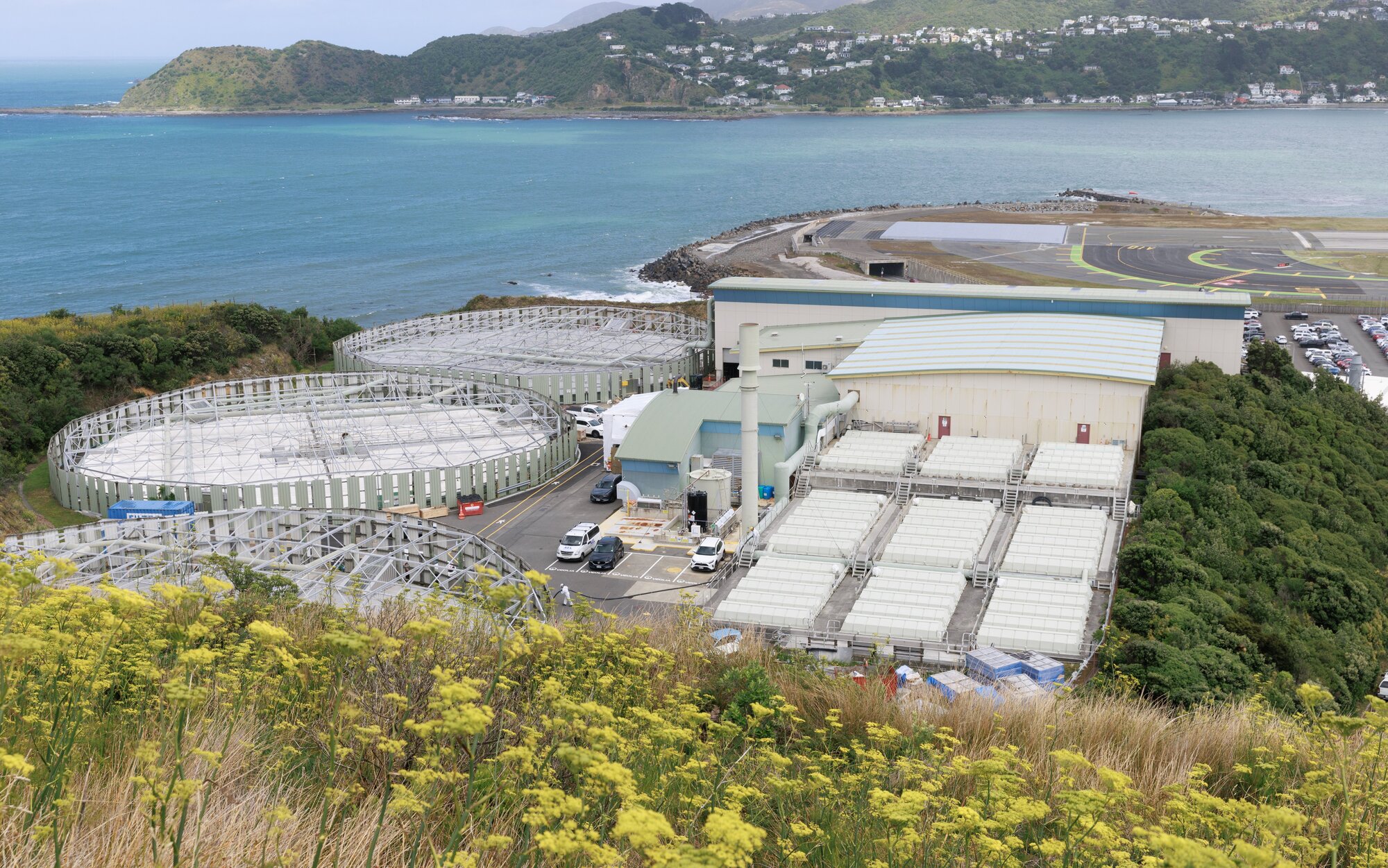 The Moa Point Wastewater Treatment Plant became partially inundated after the failure. Photo / Mark Mitchell