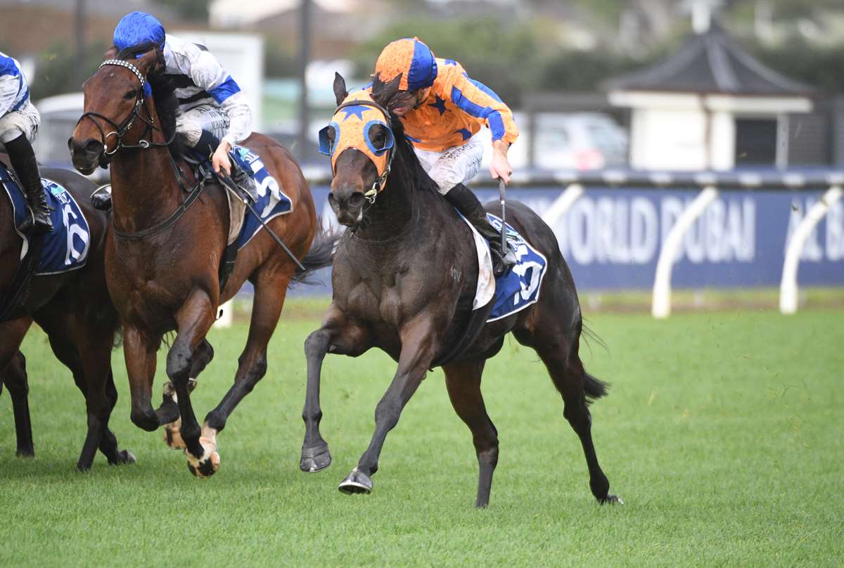 Quintessa takes the road less travelled to Triple Crown final - NZ Herald