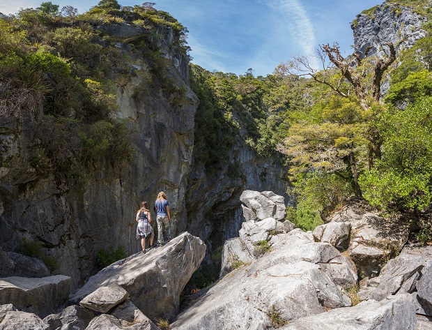 Harwoods Hole in the Canan Downs, Nelson. Photo / Nelson Tasman Tourism