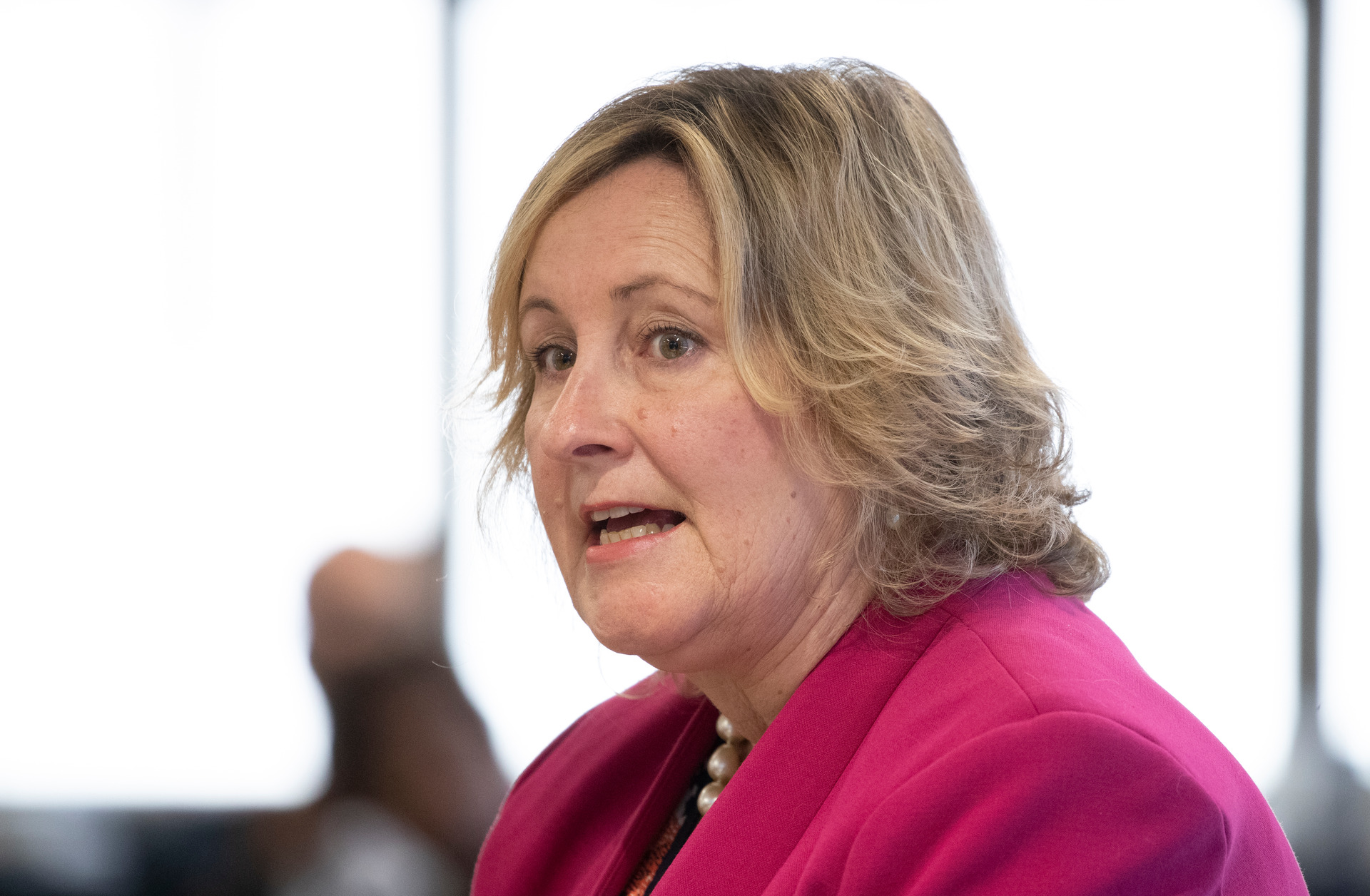 Diane Calvert says Let’s Get Wellington Moving’s structure is not working. Photo / Mark Mitchell