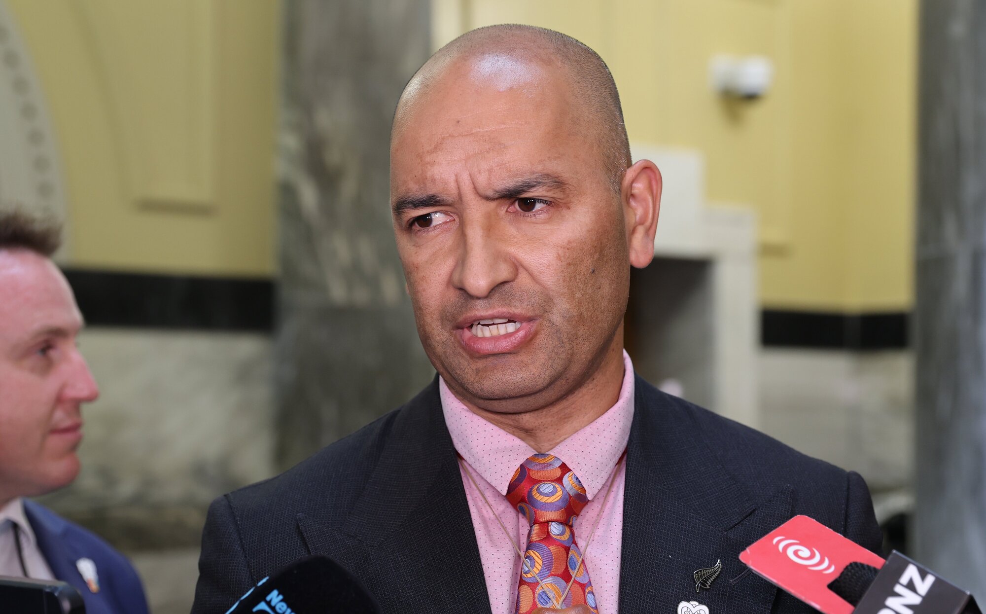 Associate Housing Minister Tama Potaka said the changes would make consenting standards uniform across the country. Photo / Mark Mitchell