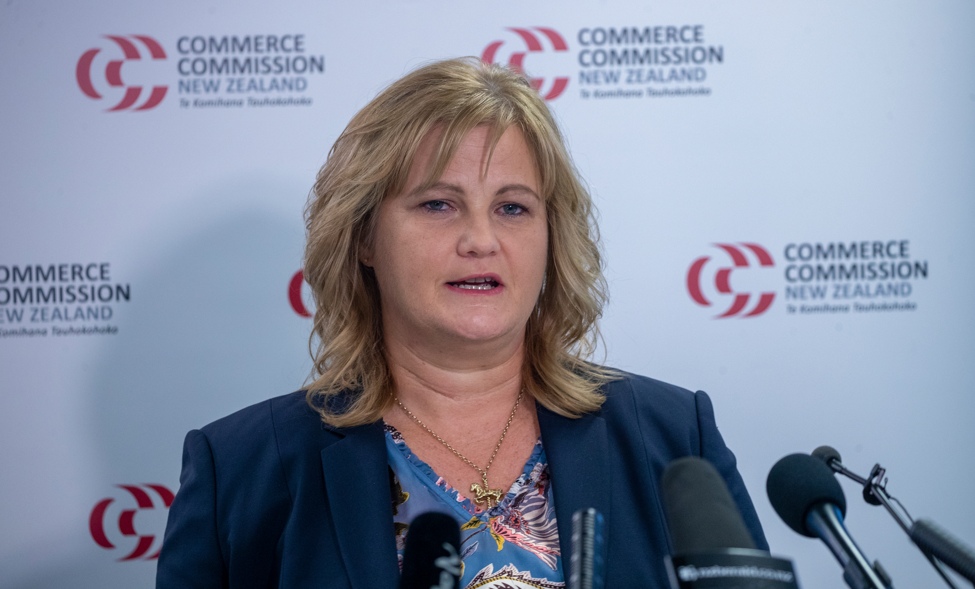 Commerce Commission chair Anna Rawlings released the draft report. Photo / Mark Mitchell