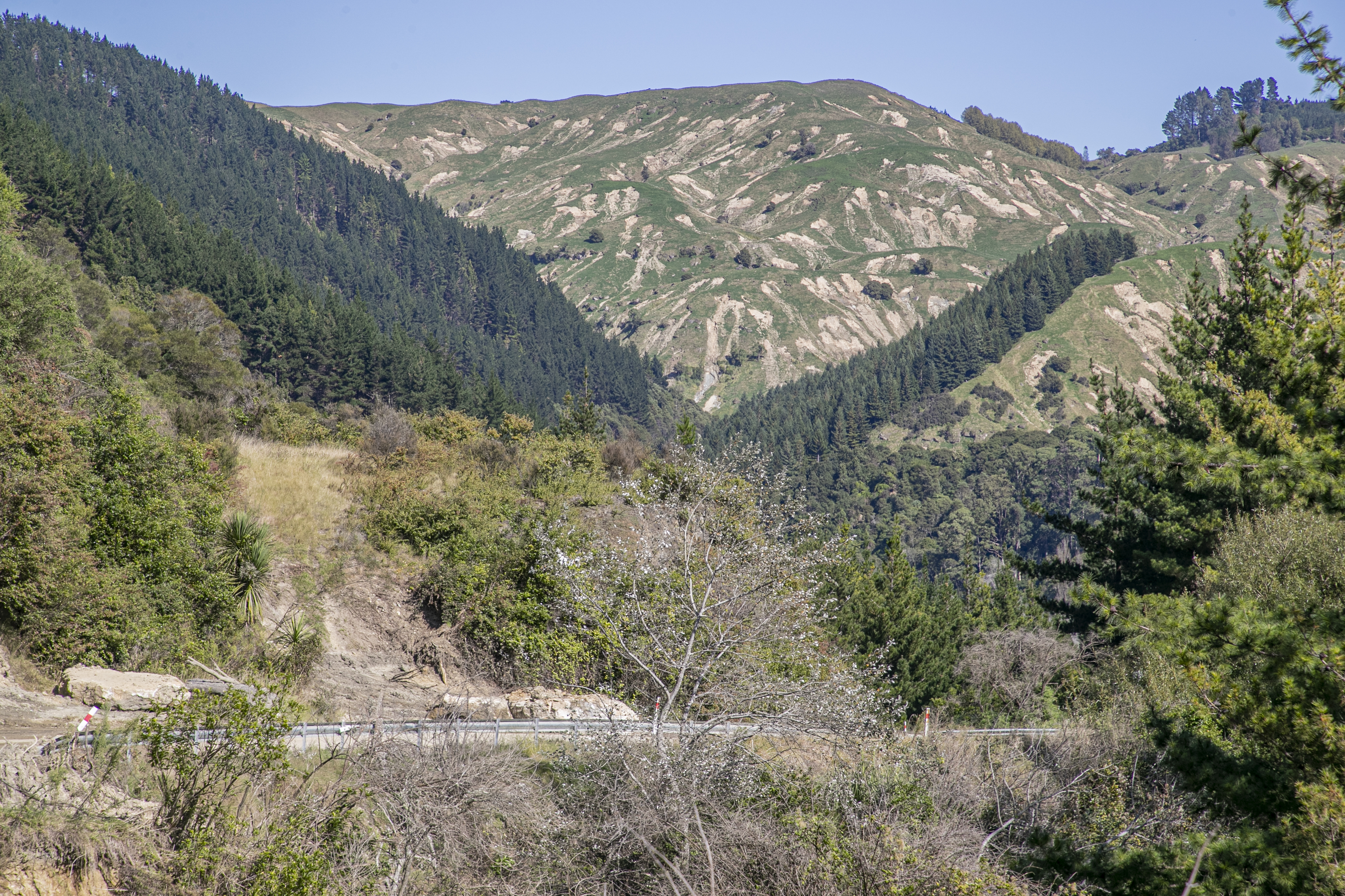Slips are clearly visible on hills in forest country near Devil's Elbow, north of Napier, on State Highway 2. Photo / Warren Buckland