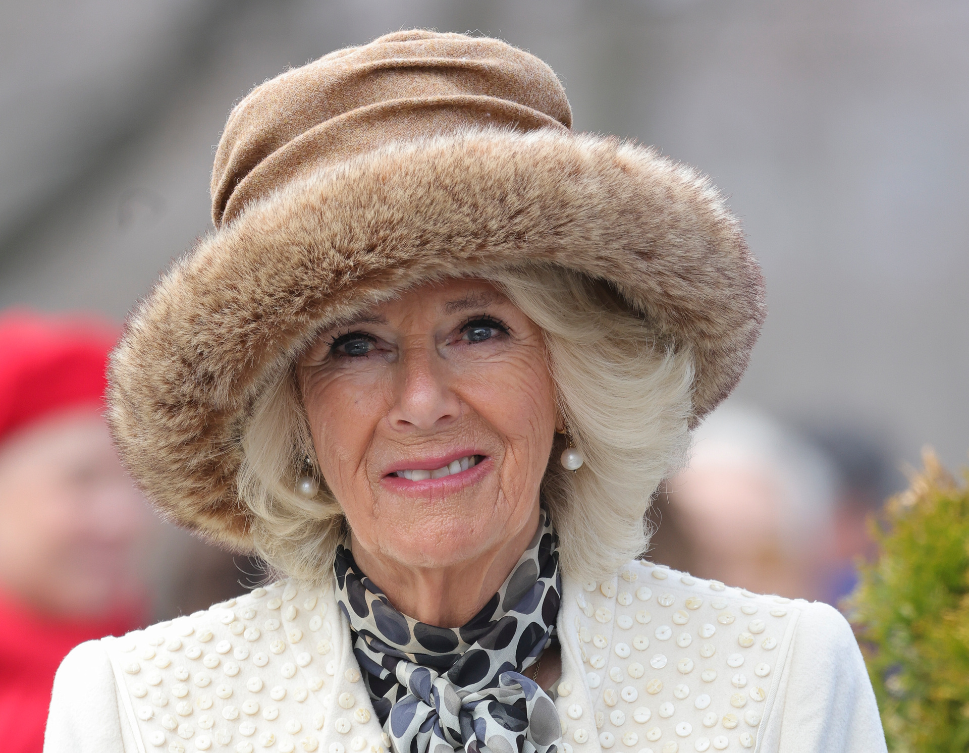A book about the Duke and Duchess of Sussex claimed Camilla Parker Bowles had made a remark about the couple's son Archie. Photo / Getty Images