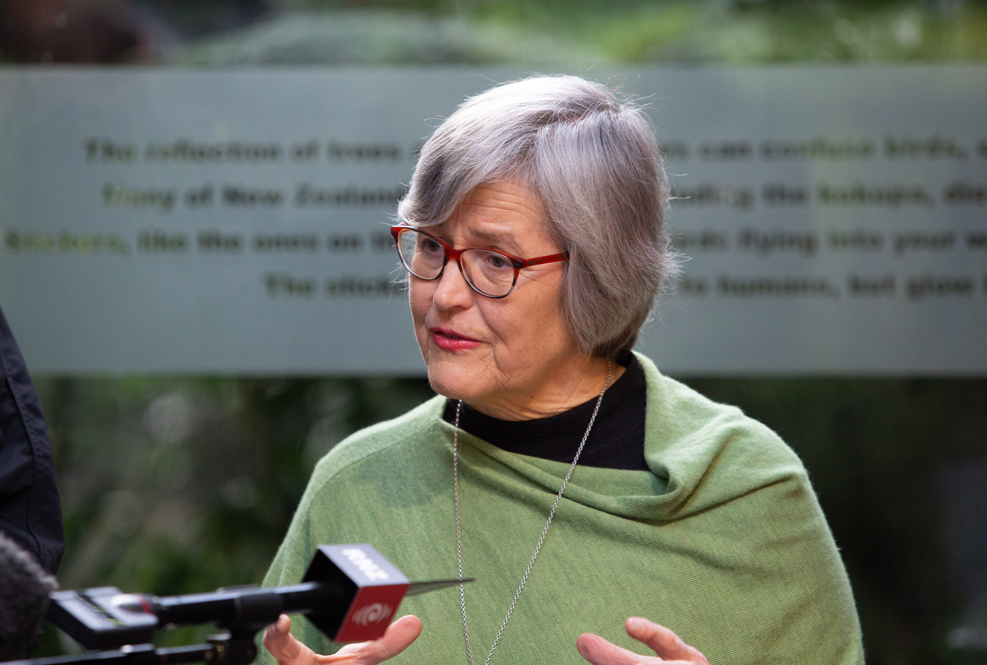 The Green Party's Eugenie Sage said the New Zealand Government needs to do more to protect Māui dolphins. Photo / Sylvie Whinray