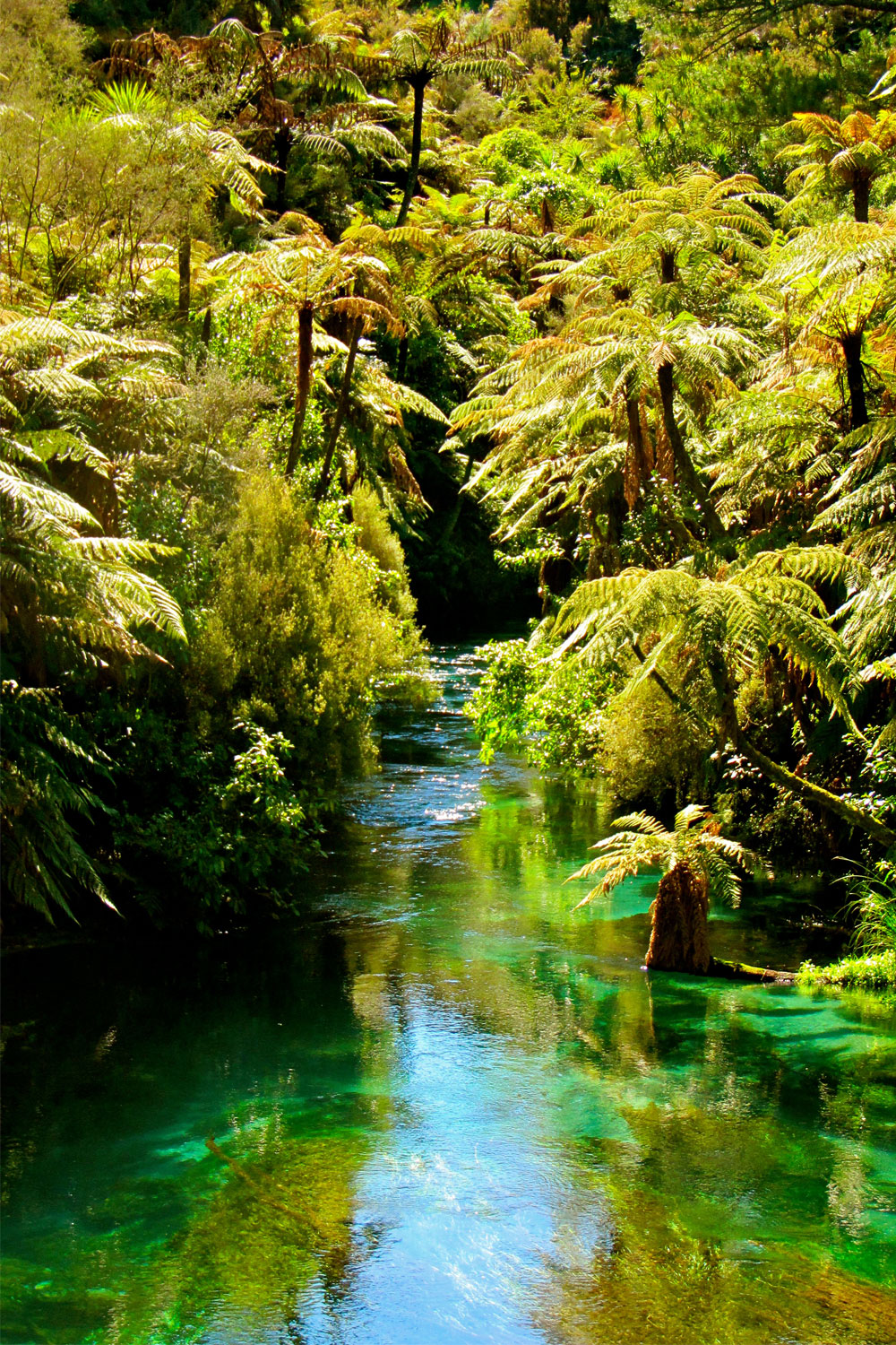 Spending time in nature is an excellent way to relax. Photo / Supplied