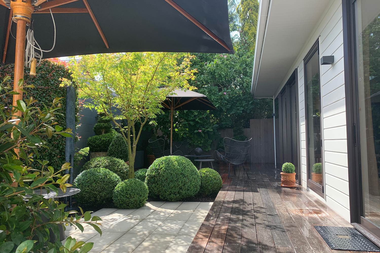 The English box hedges in this patio garden by Aaron Bell-Booth are a study in scale and proportion. Photo / Supplied