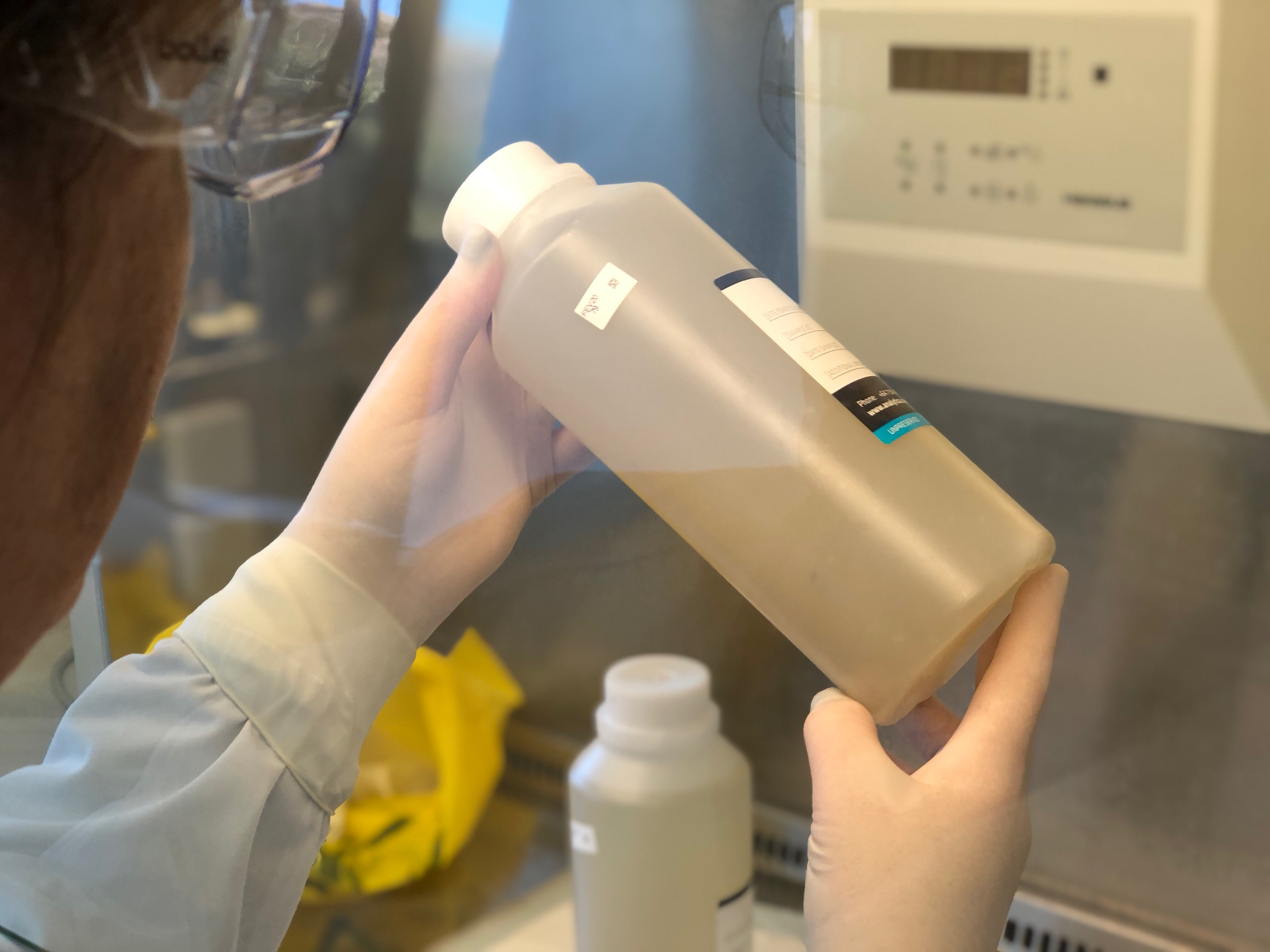 Scientists at ESR's Wellington laboratory have become deft at quickly processing the one-litre wastewater samples as soon as they receive them. Photo / ESR