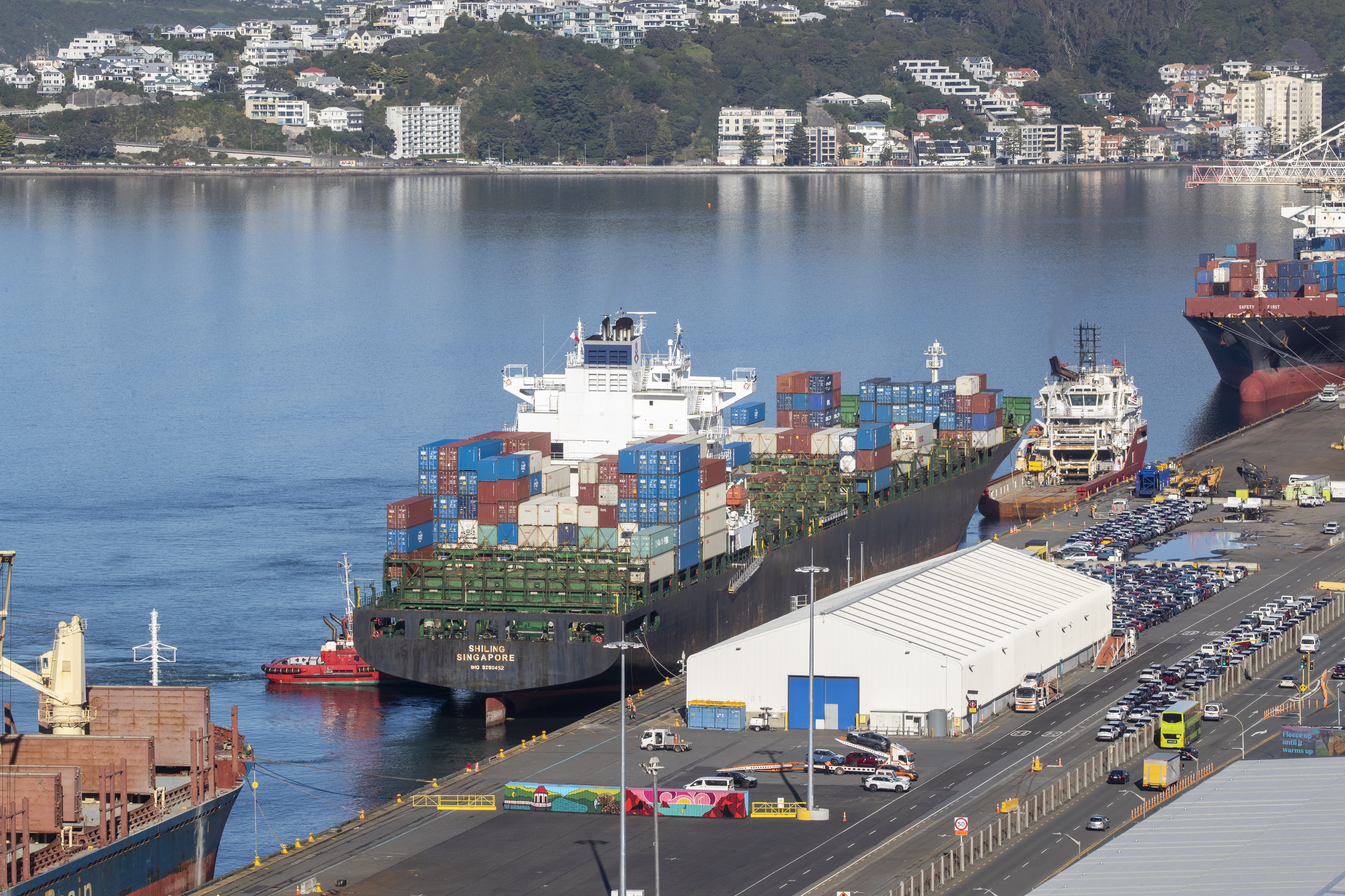 MV Shiling berthed at Wellington's CentrePort after it lost power. Photo / Mark Mitchell
