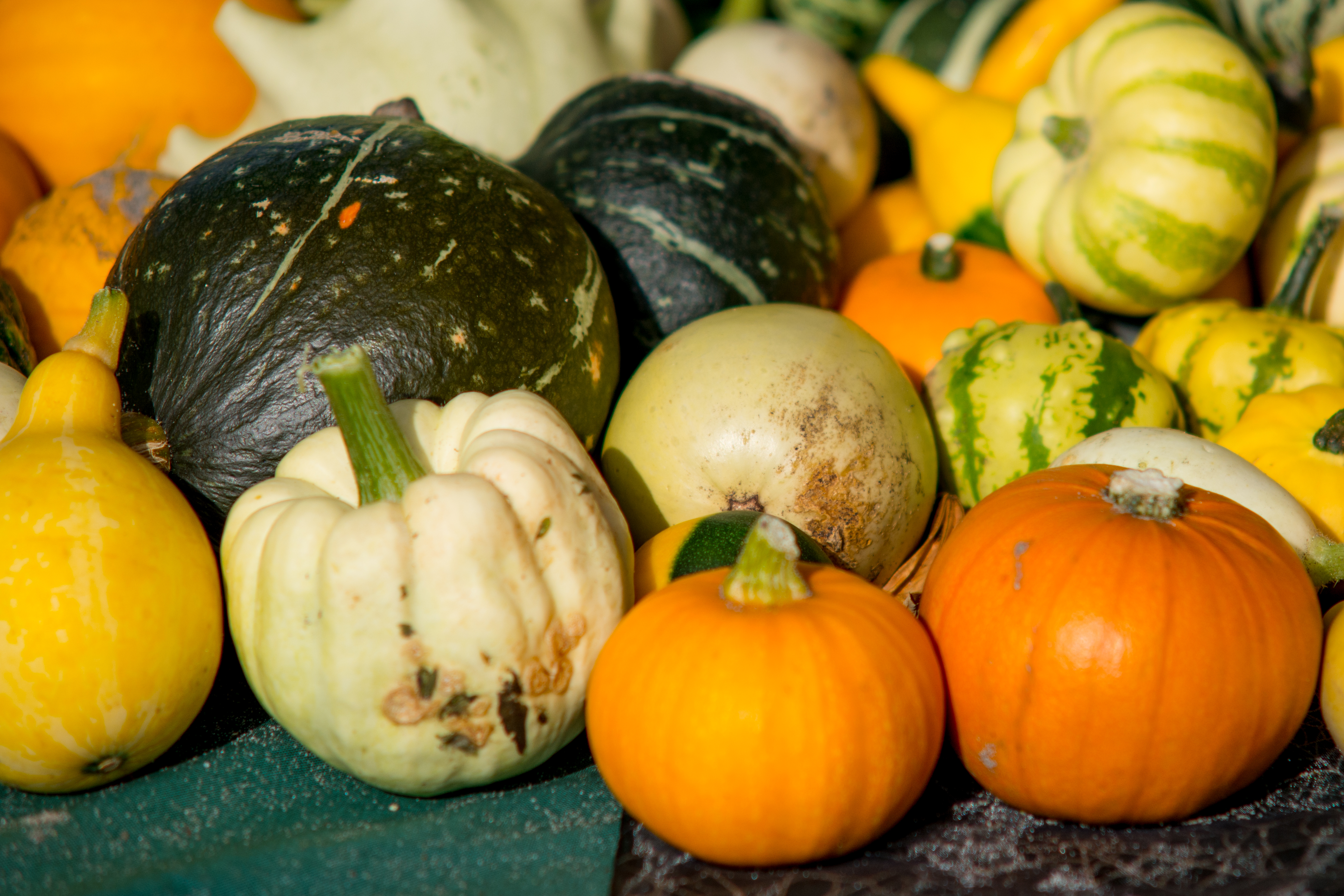 Organic produce can fetch a premium. Photo / A. Schippers