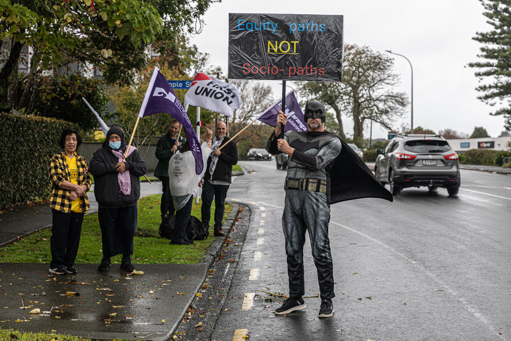 Protesters came dressed in costumes. Photo / Jason Dorday