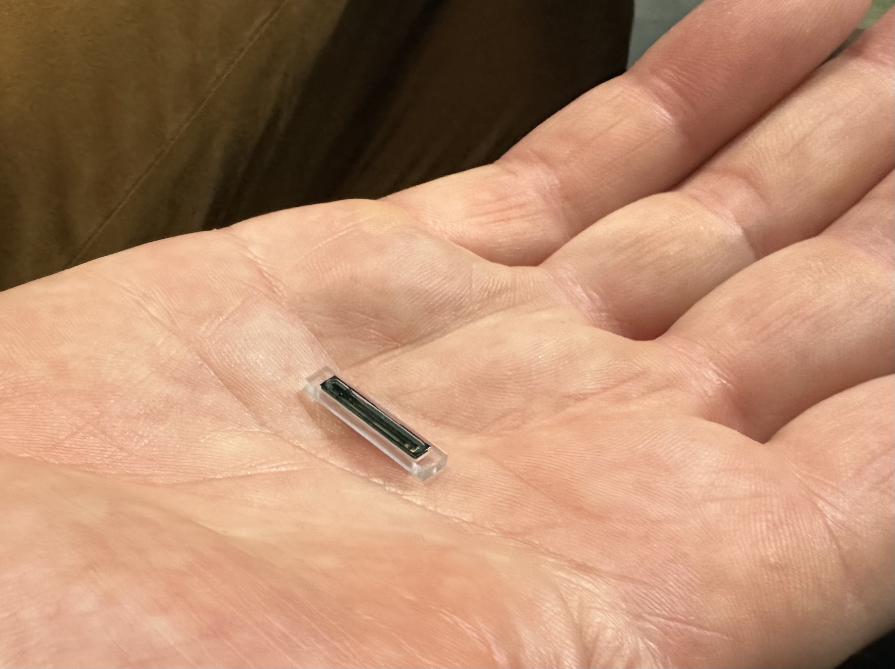 A prototype of the tiny sensor implant, which is enclosed in glass and powered remotely by a hand-held wand. Photo / Cole Slawson