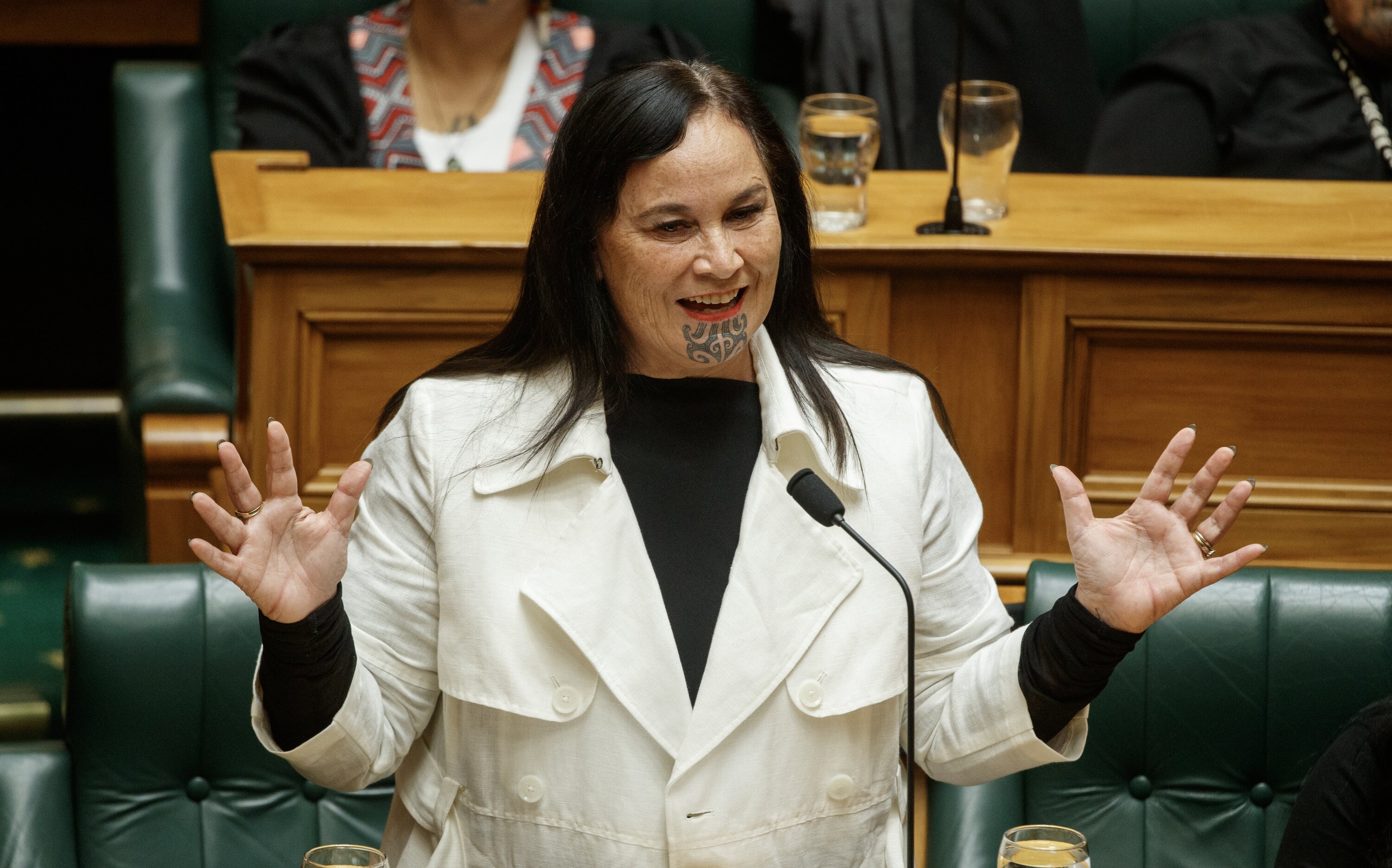Te Pāti Māori co-leader Debbie Ngarewa-Packer quoted a figure some disputed. Photo / Mark Mitchell
