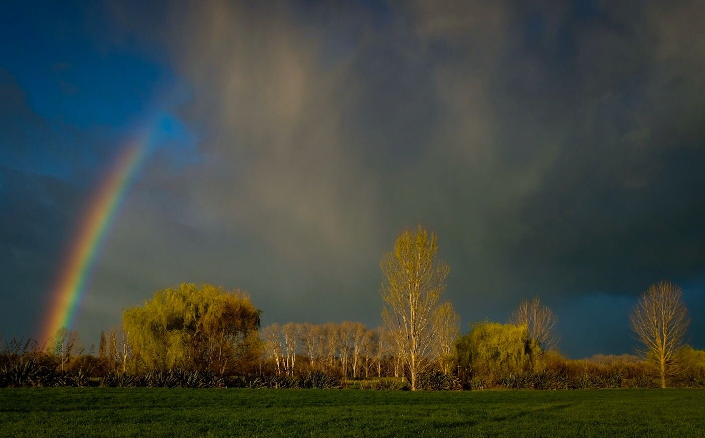 Forecasters say the coming months could be on the wetter side - and there's little in the mix to make things warmer. Photo / Paul Taylor