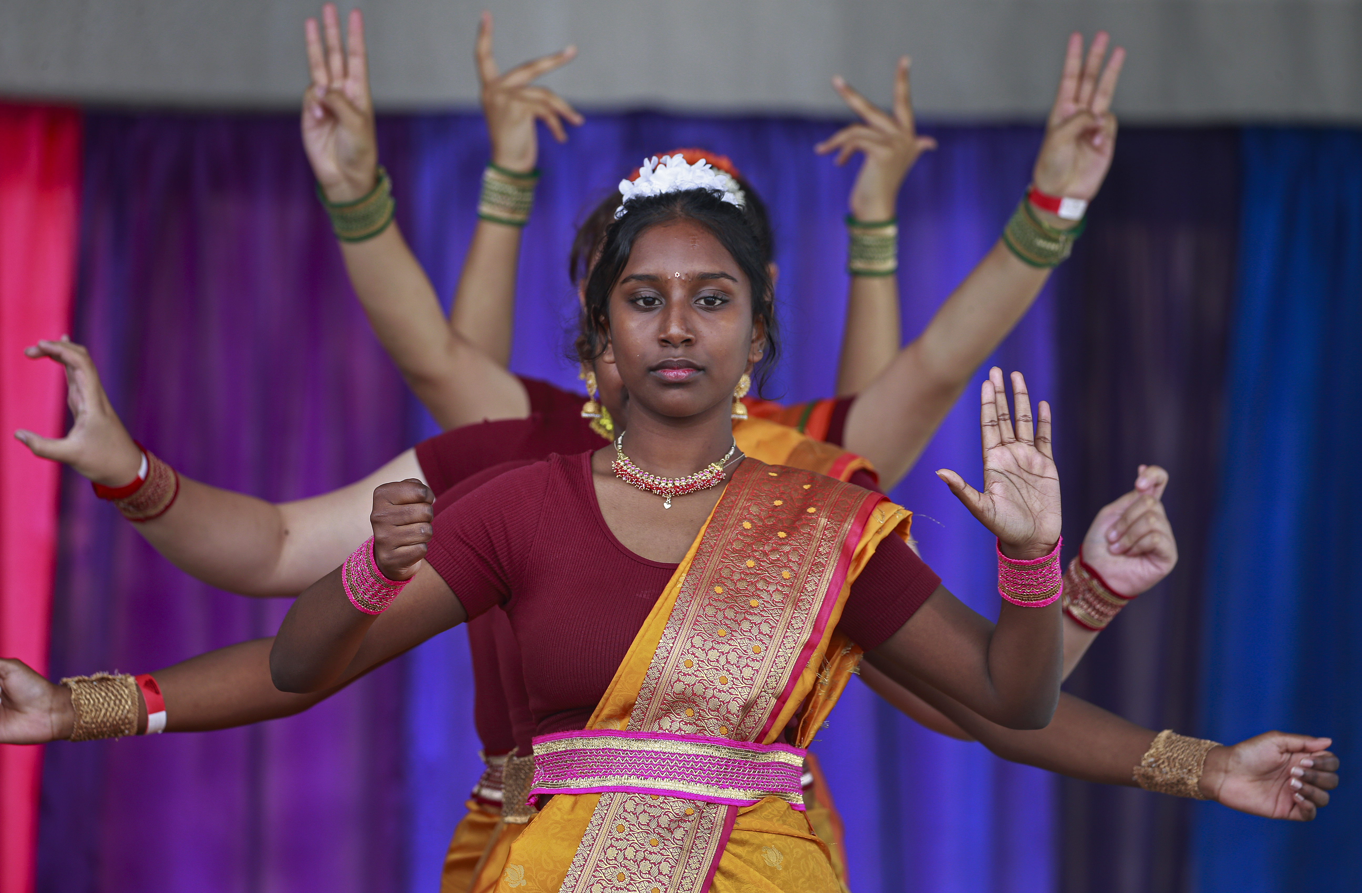 Last year's Diversity stage at the Polyfest. Photo / Alex Burton