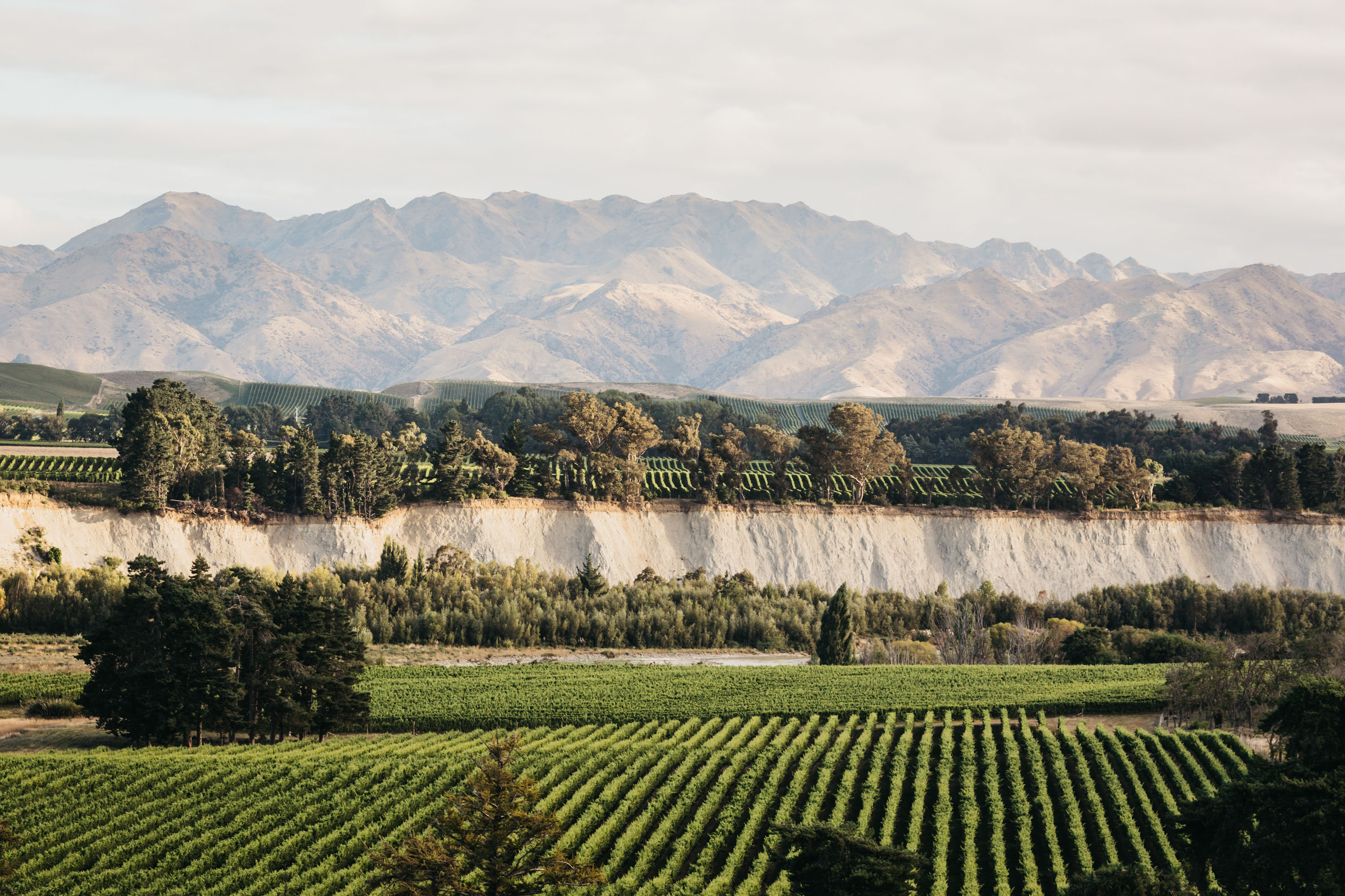 Tohu's Whenua Awa Marlborough vineyard.
