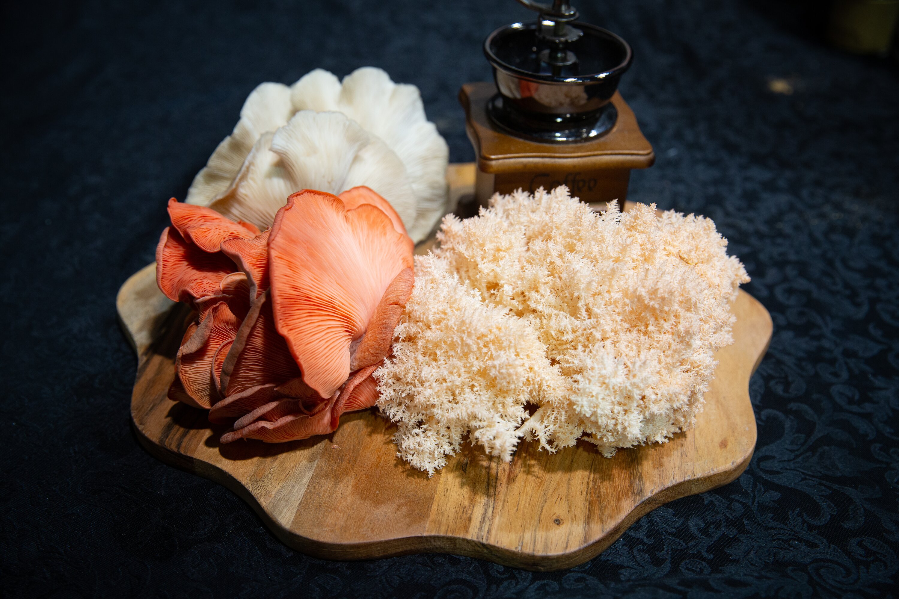 A variety of mushroom offerings at the Auckland Food Show, Auckland Showgrounds. Photo / Sylvie Whinray
