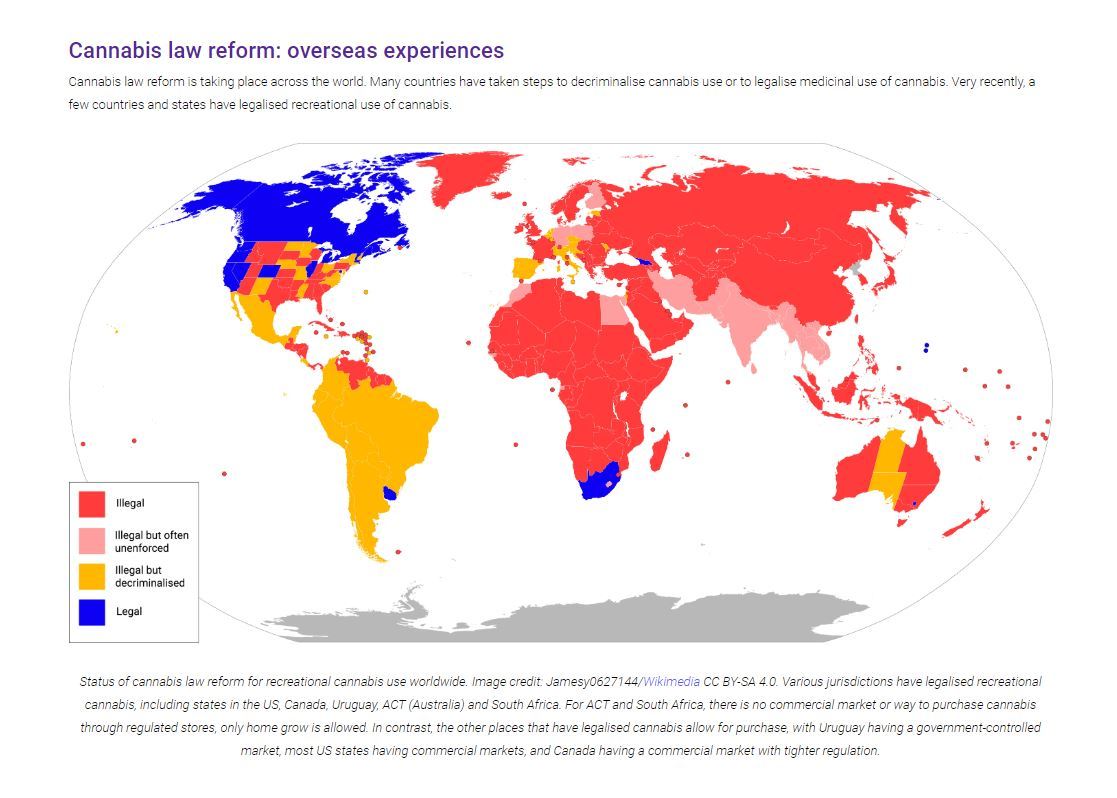 The map of the world showing the legal status of cannabis in different countries. Photo / Screenshot