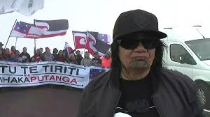 Linda Munn's Tino Rangatiratanga flag is flying high for Māori. Photo / Te Ao Māori News.