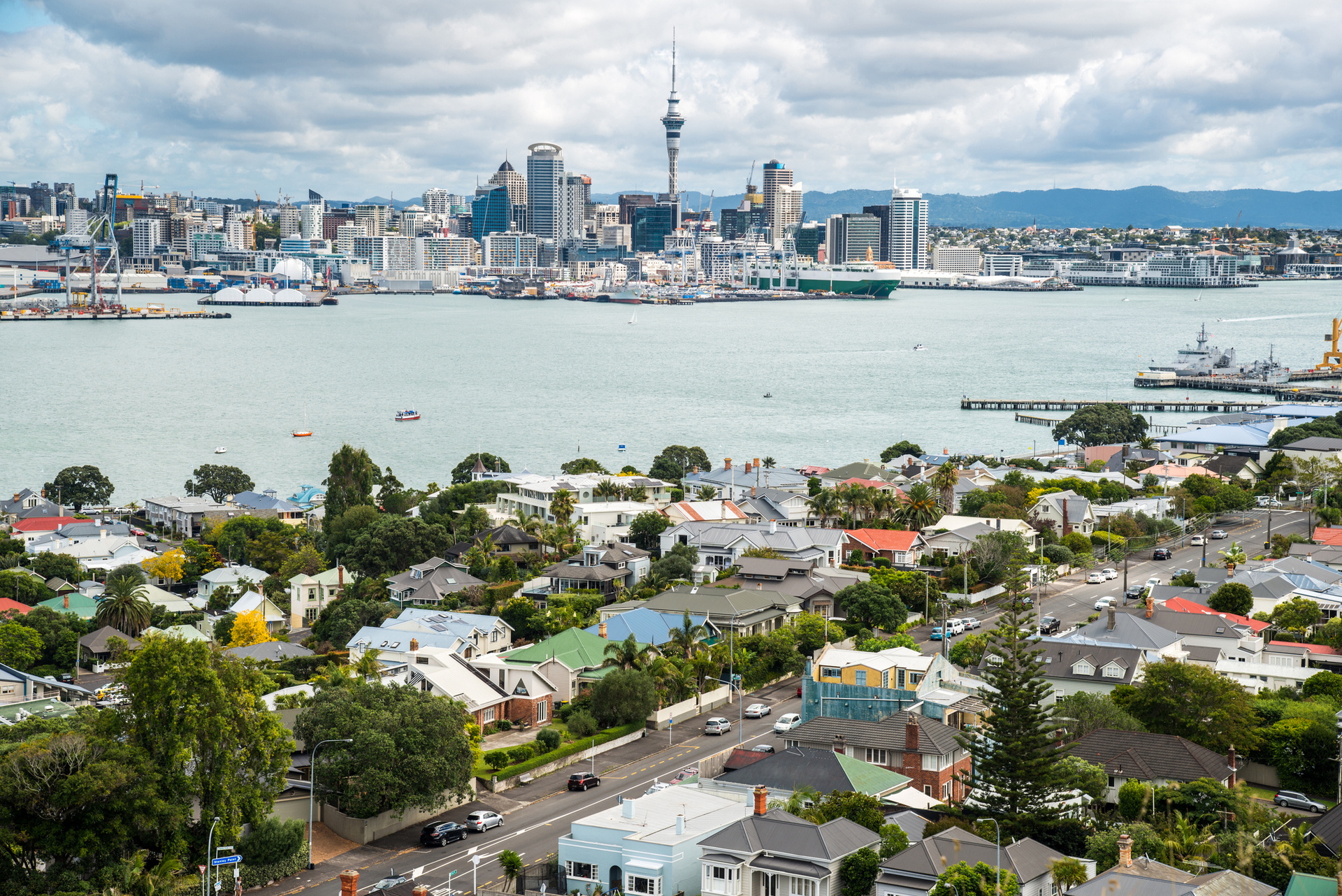 The share of New Zealand Europeans in Auckland is forecast to drop below 50% in the next two to three years.