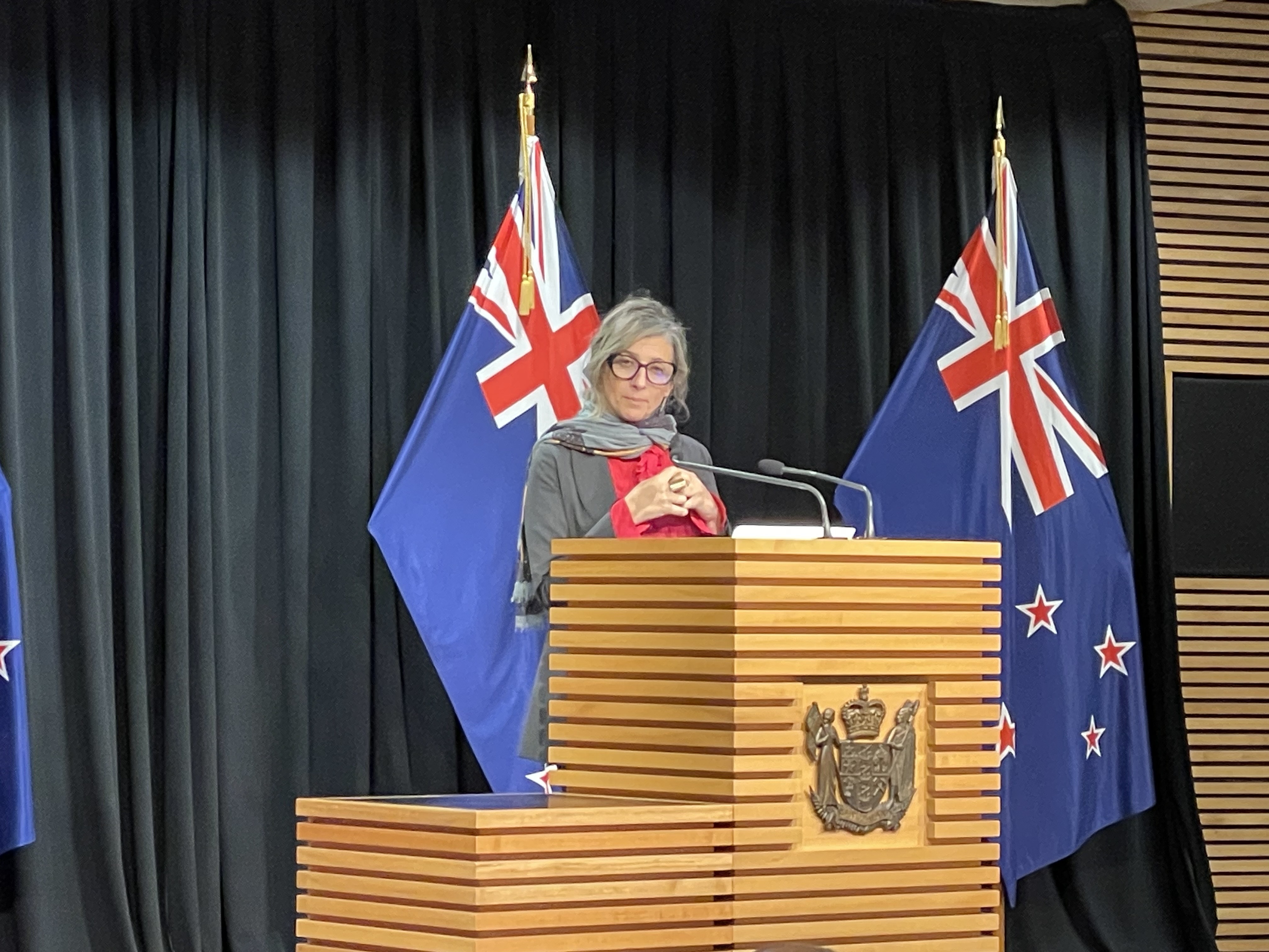 United Nations Special Rapporteur on the occupied Palestinian Territories, Francesca Albanese,  visited Wellington. Photo / NZME